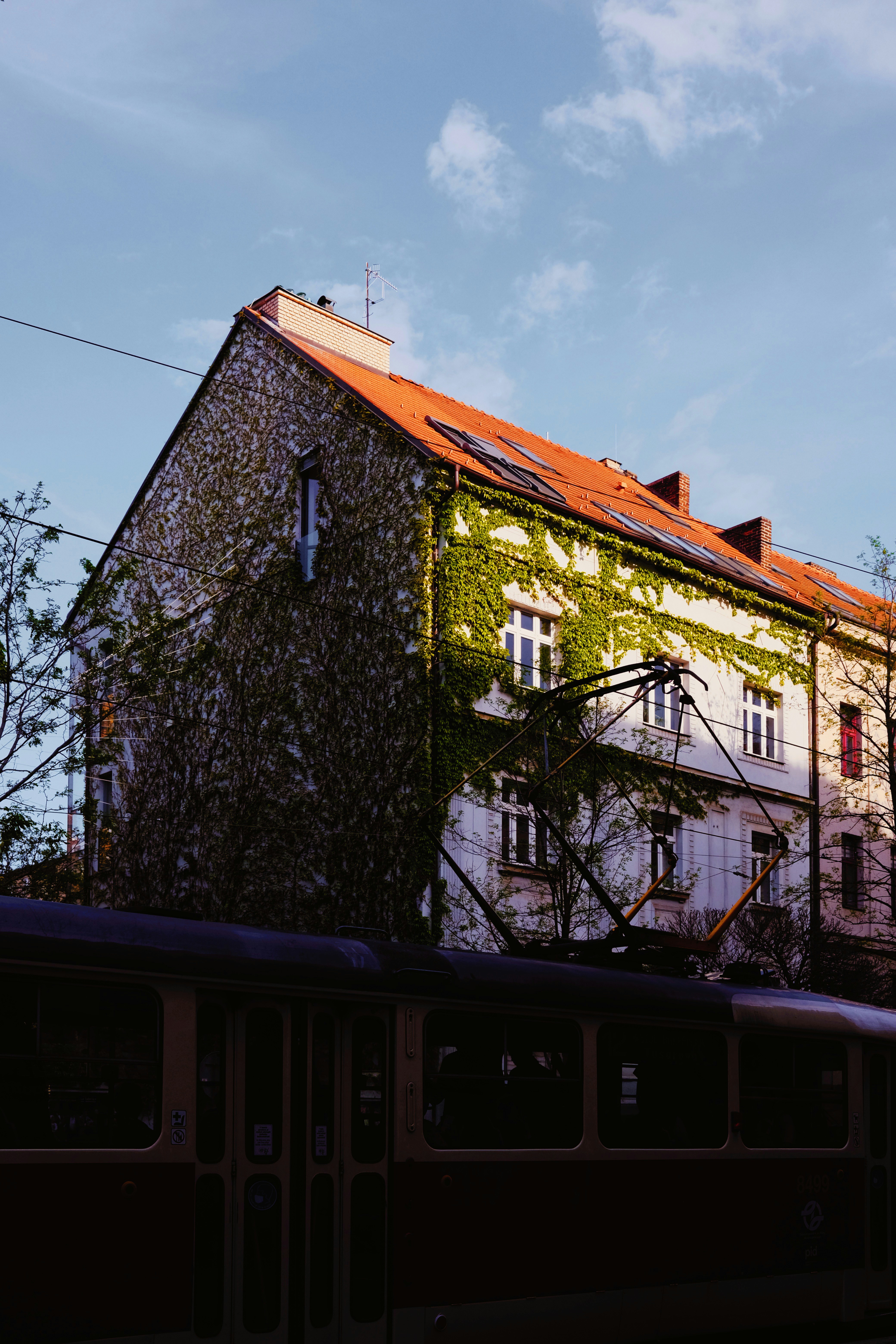 Photo by cherenkevich