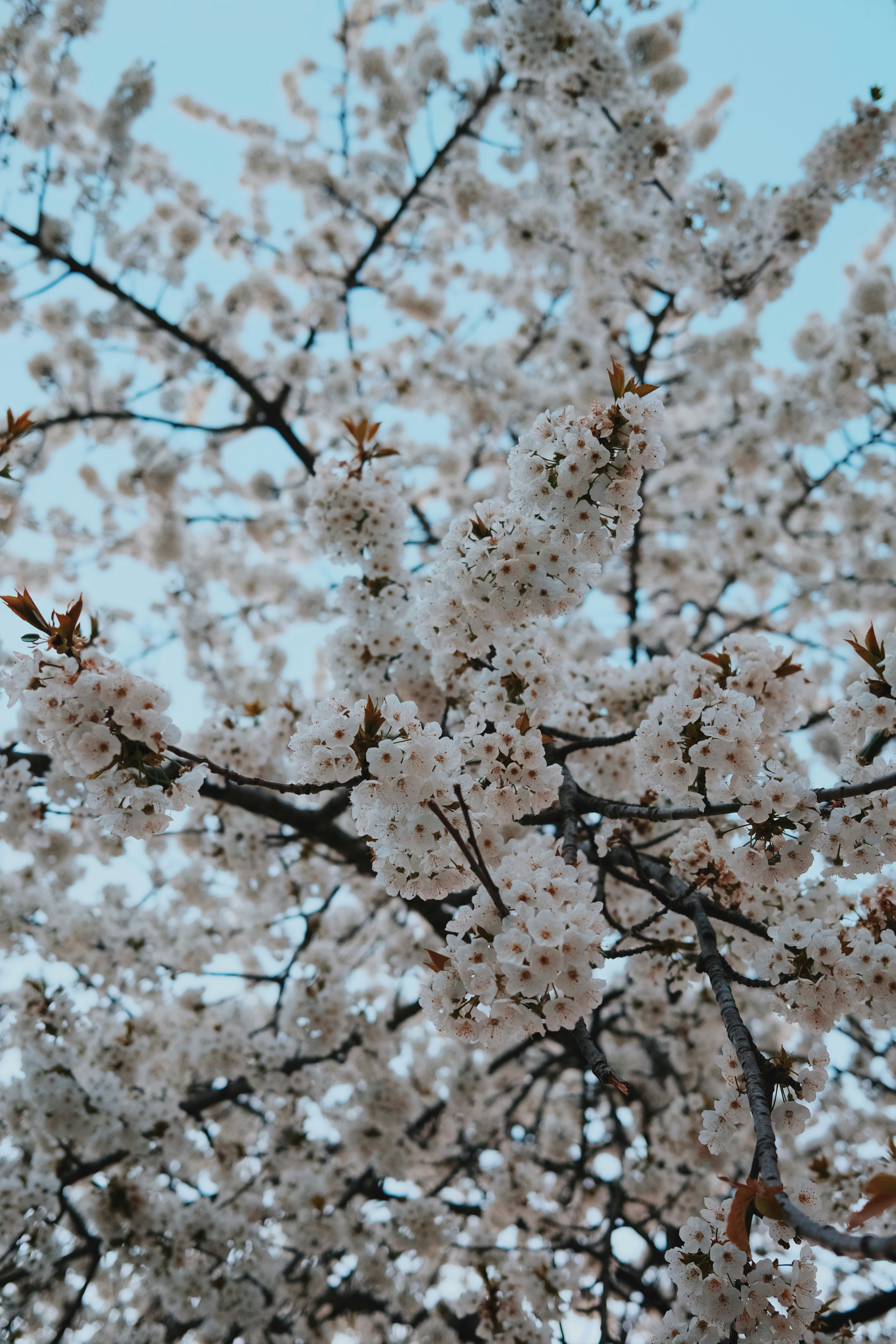 Photo by cherenkevich