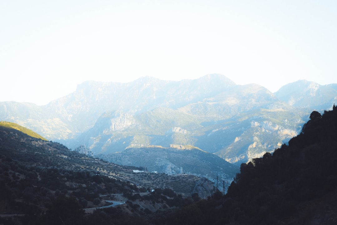 Forest photo spot Chefchaouen Oued El Makhazine