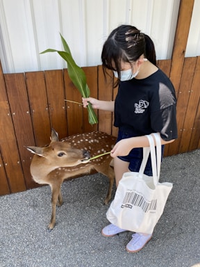 A young person wearing a black t-shirt, shorts, and a face mask is feeding a small deer with some green leaves in their hand. The deer has a brown coat with white spots. The person is carrying a white tote bag. The setting appears to be outdoors with a wooden fence and gravel flooring.