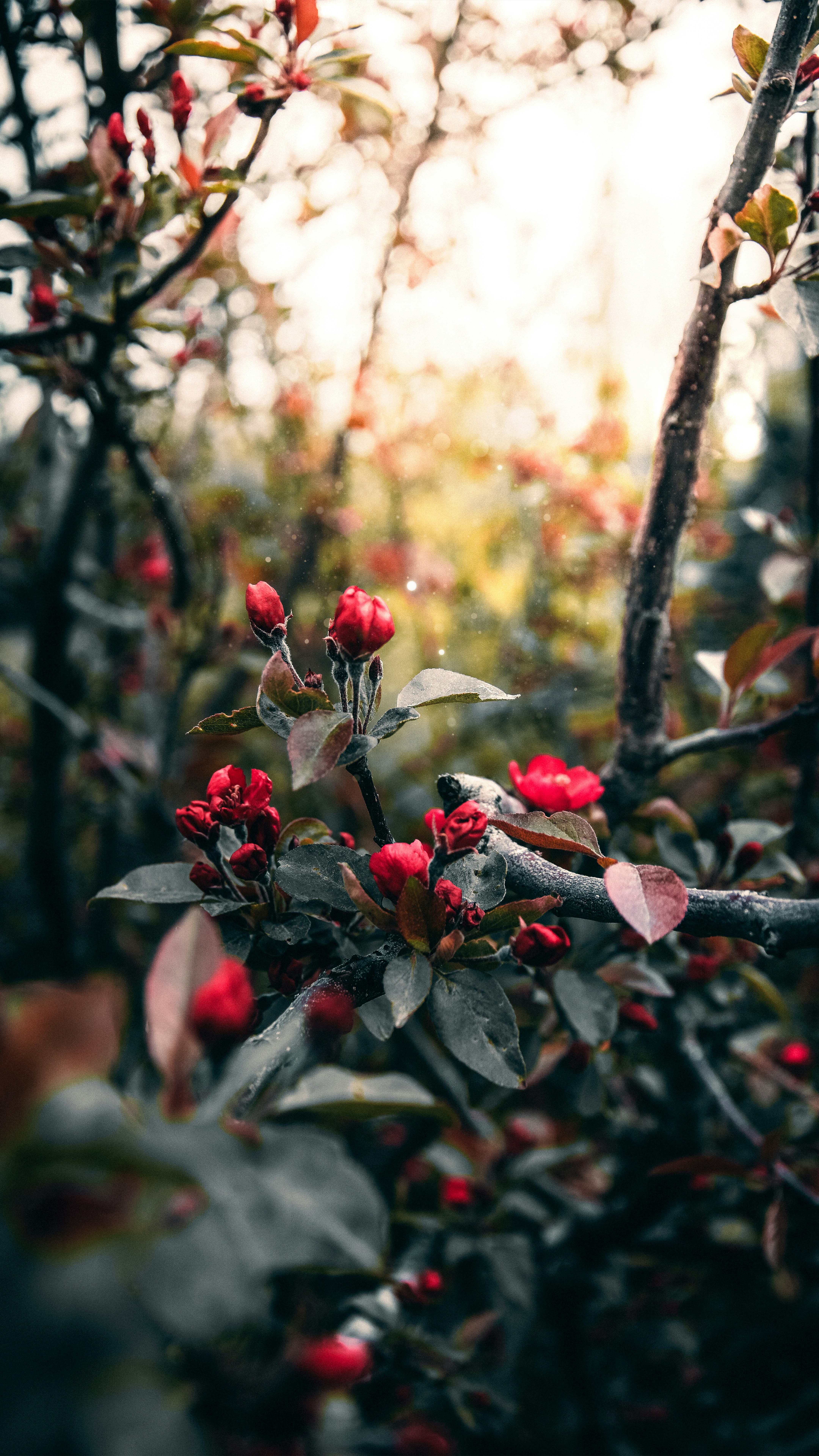 Photo by impermanent