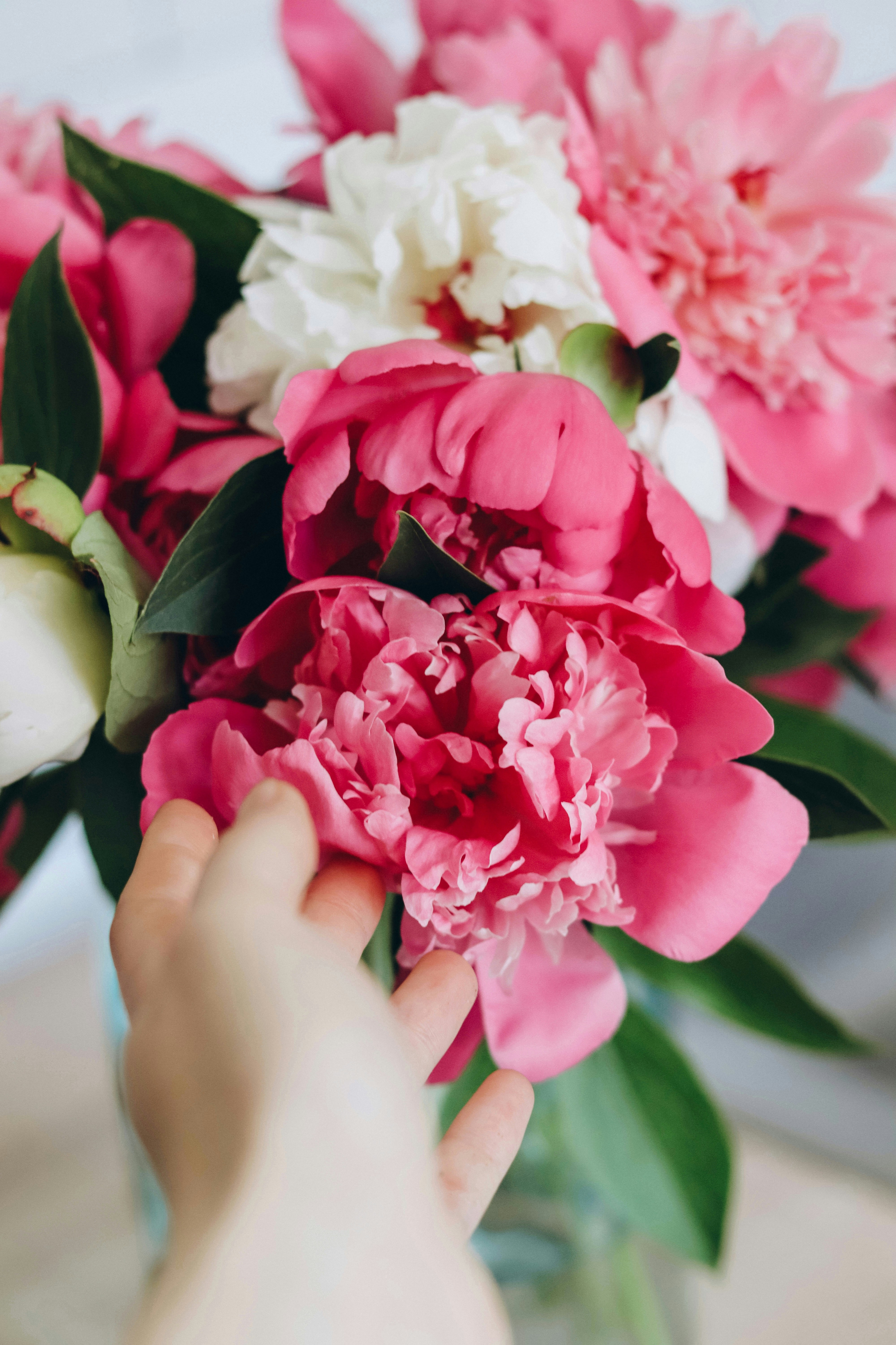 Photo by juli_ivanina