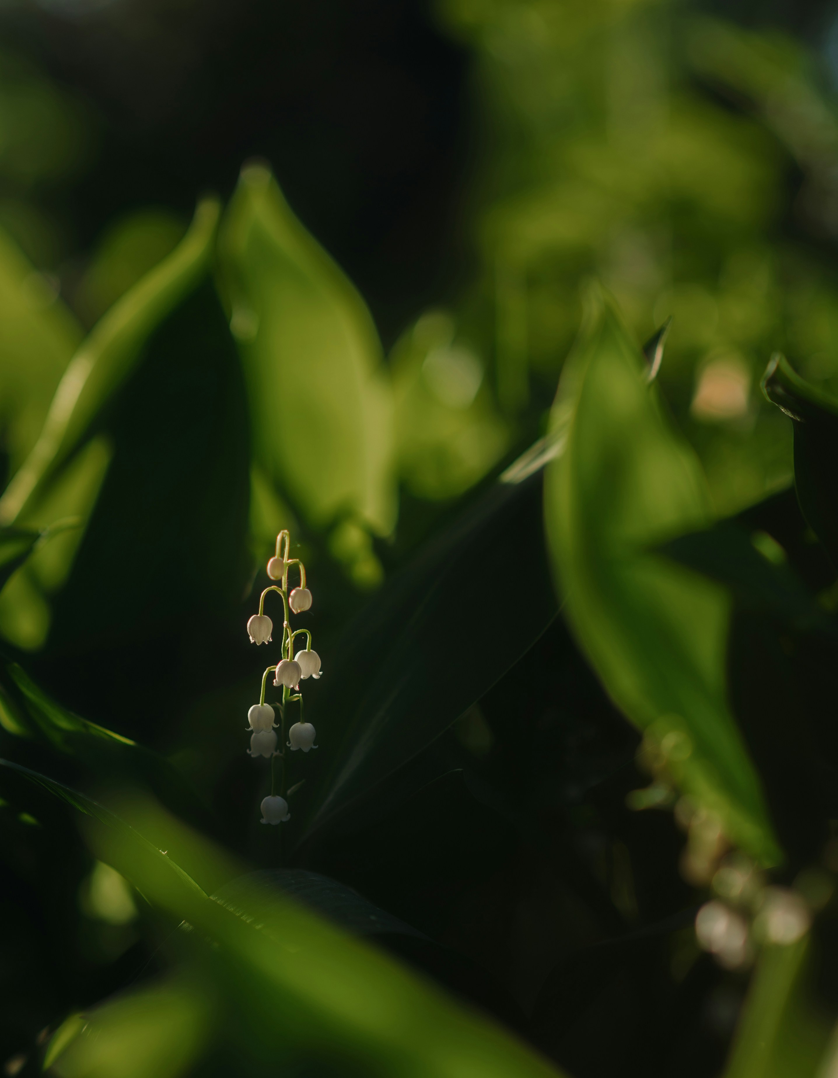 Photo by evil_bumblebee