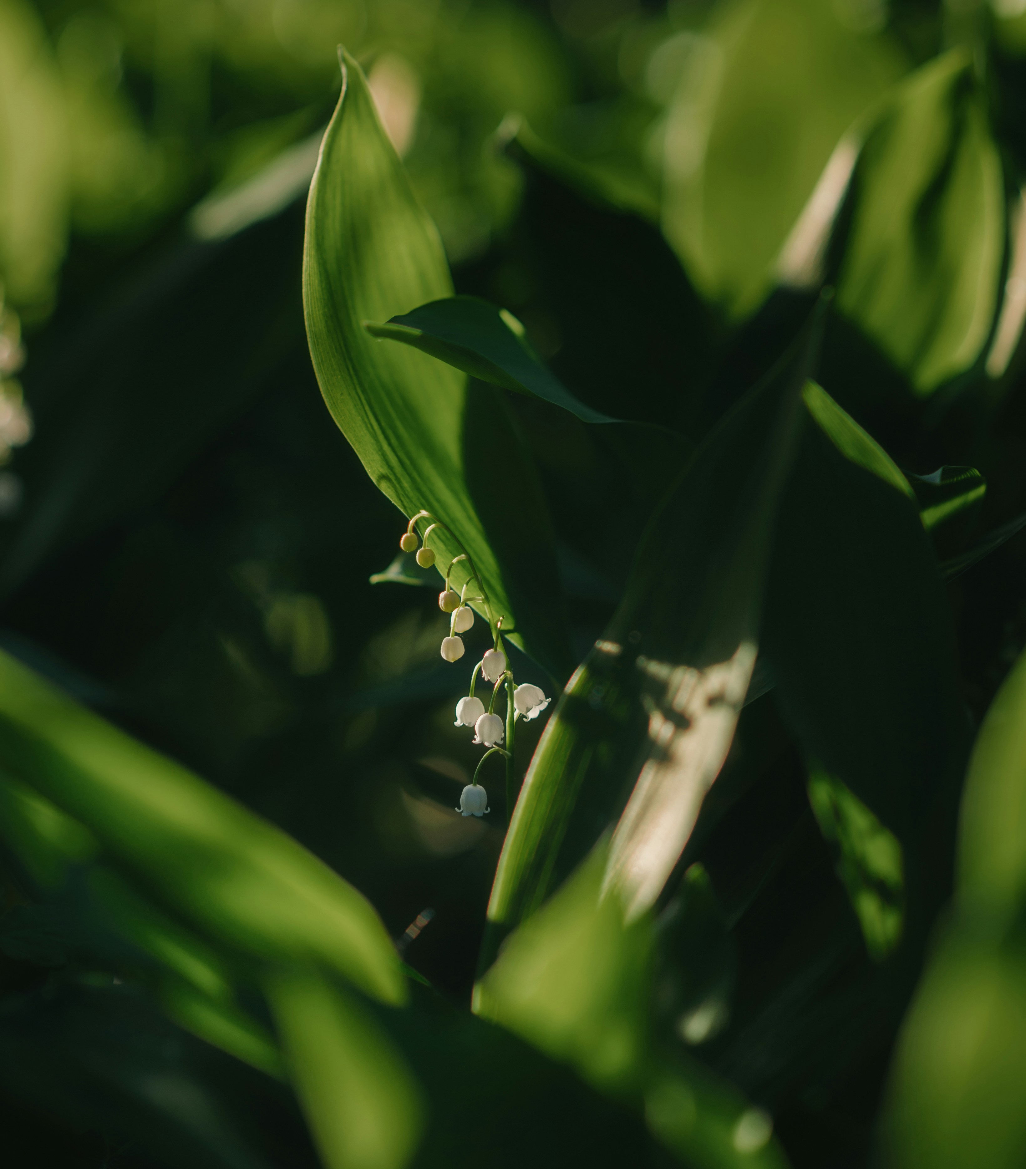 Photo by evil_bumblebee