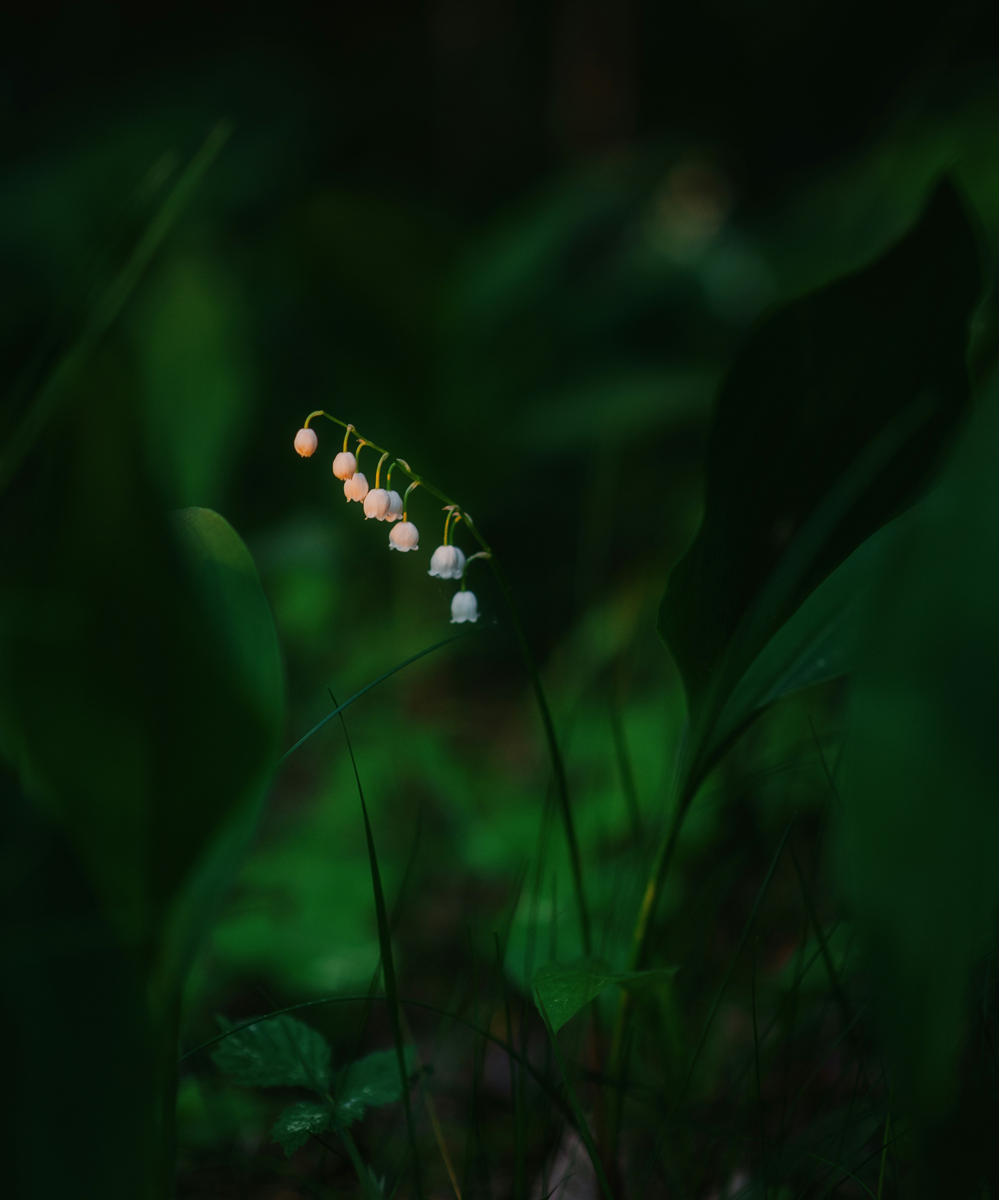 Photo by evil_bumblebee