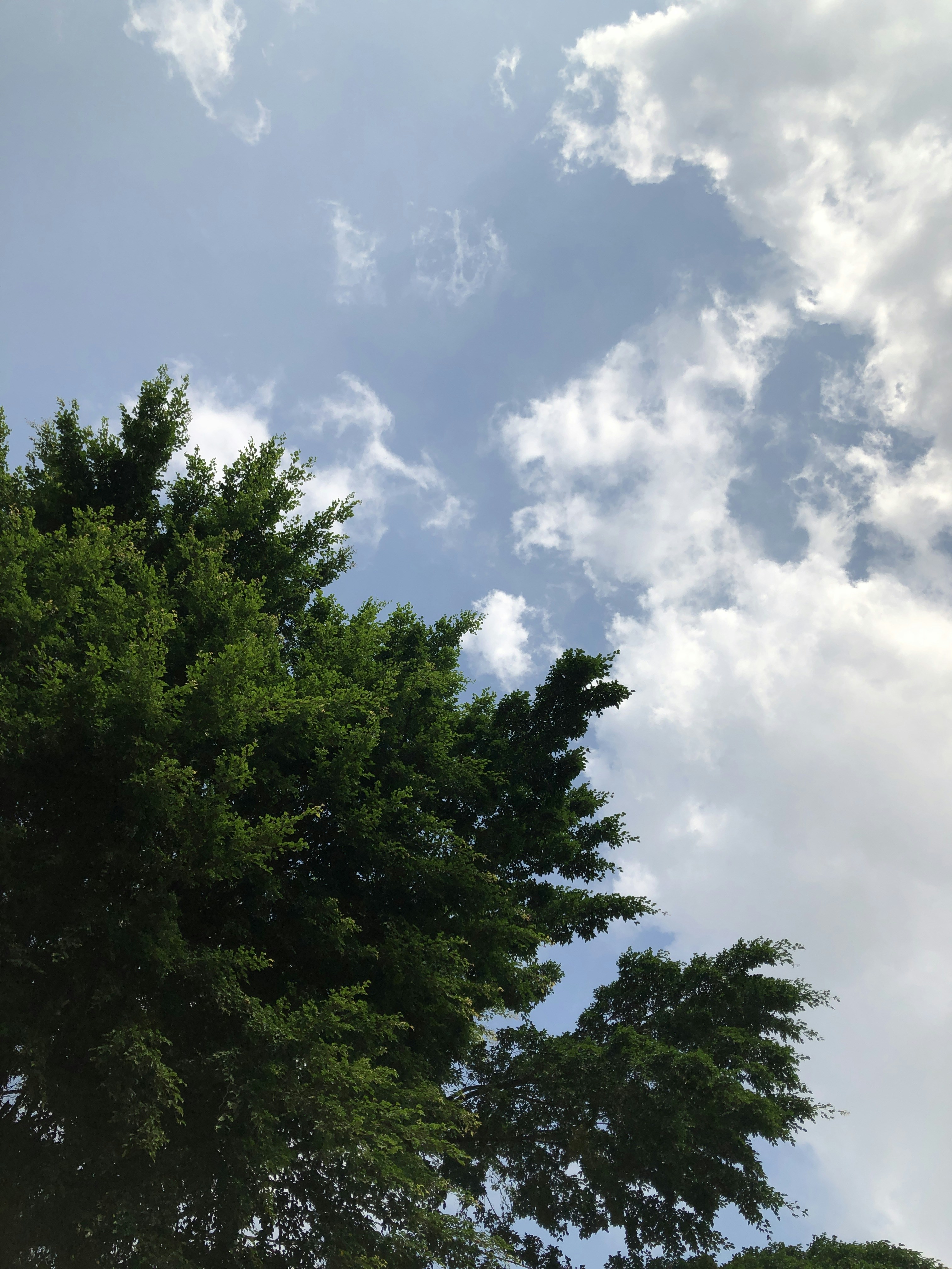 Photo by fijabioyindamola