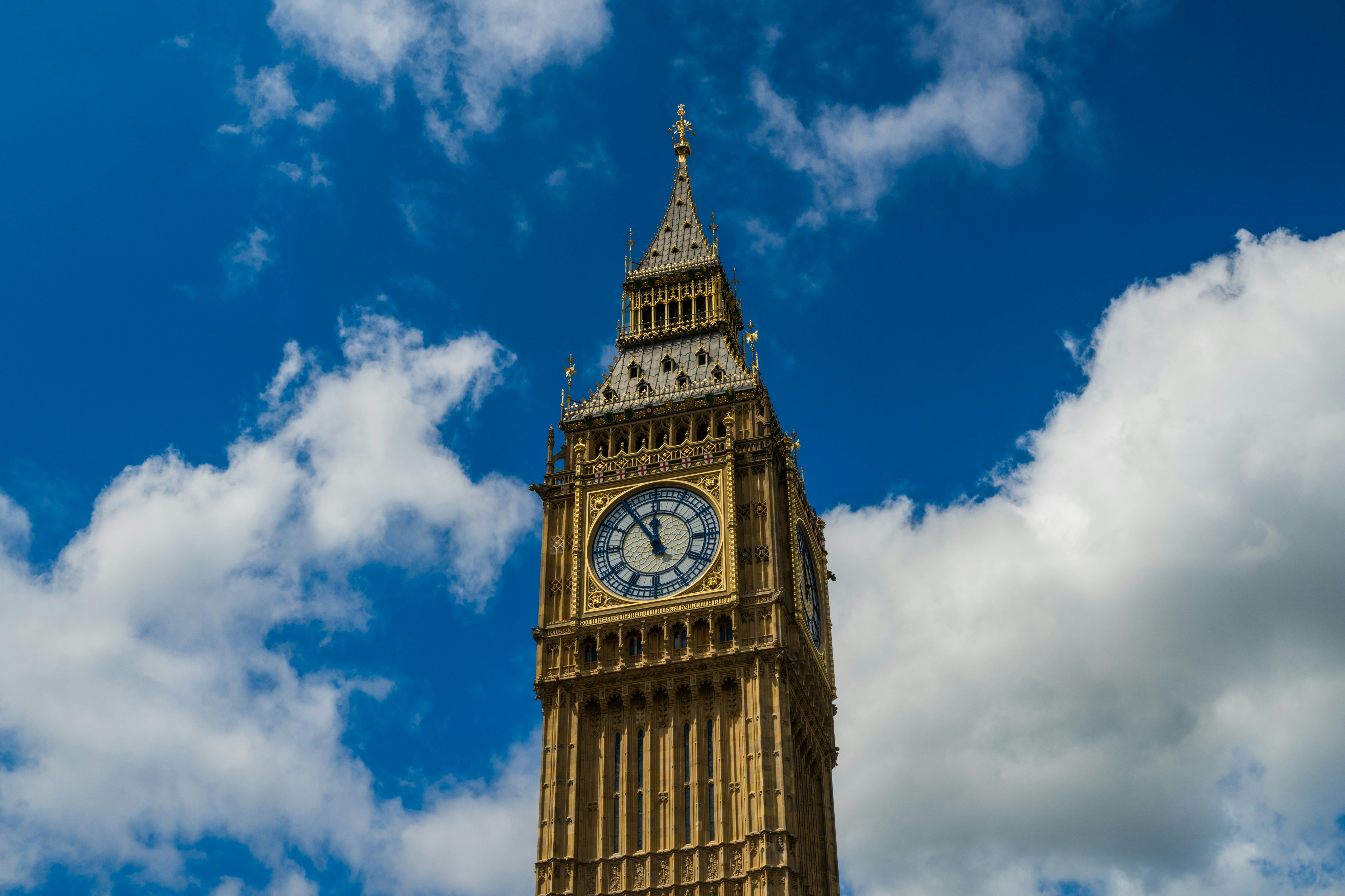 صورة المعرض