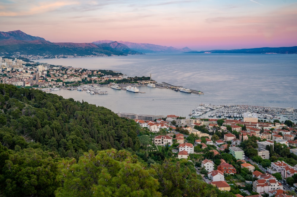 a view of a city and a harbor from a hill