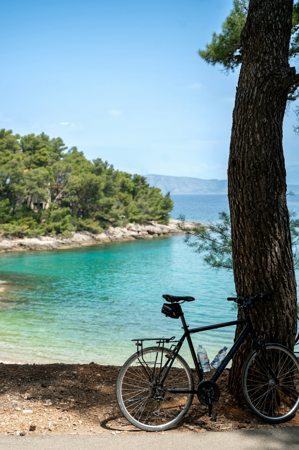 a bike parked next to a tree near a body of water