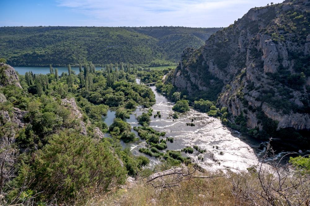 a river flowing through a lush green valley