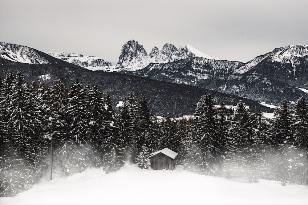 a cabin in the middle of a snowy forest