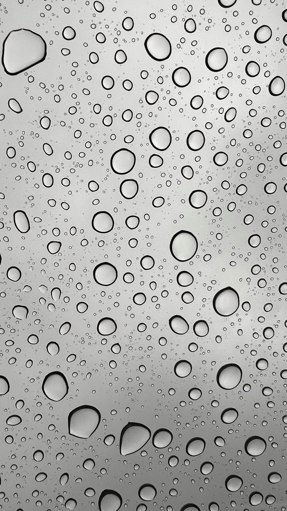 rain drops on the glass of a window