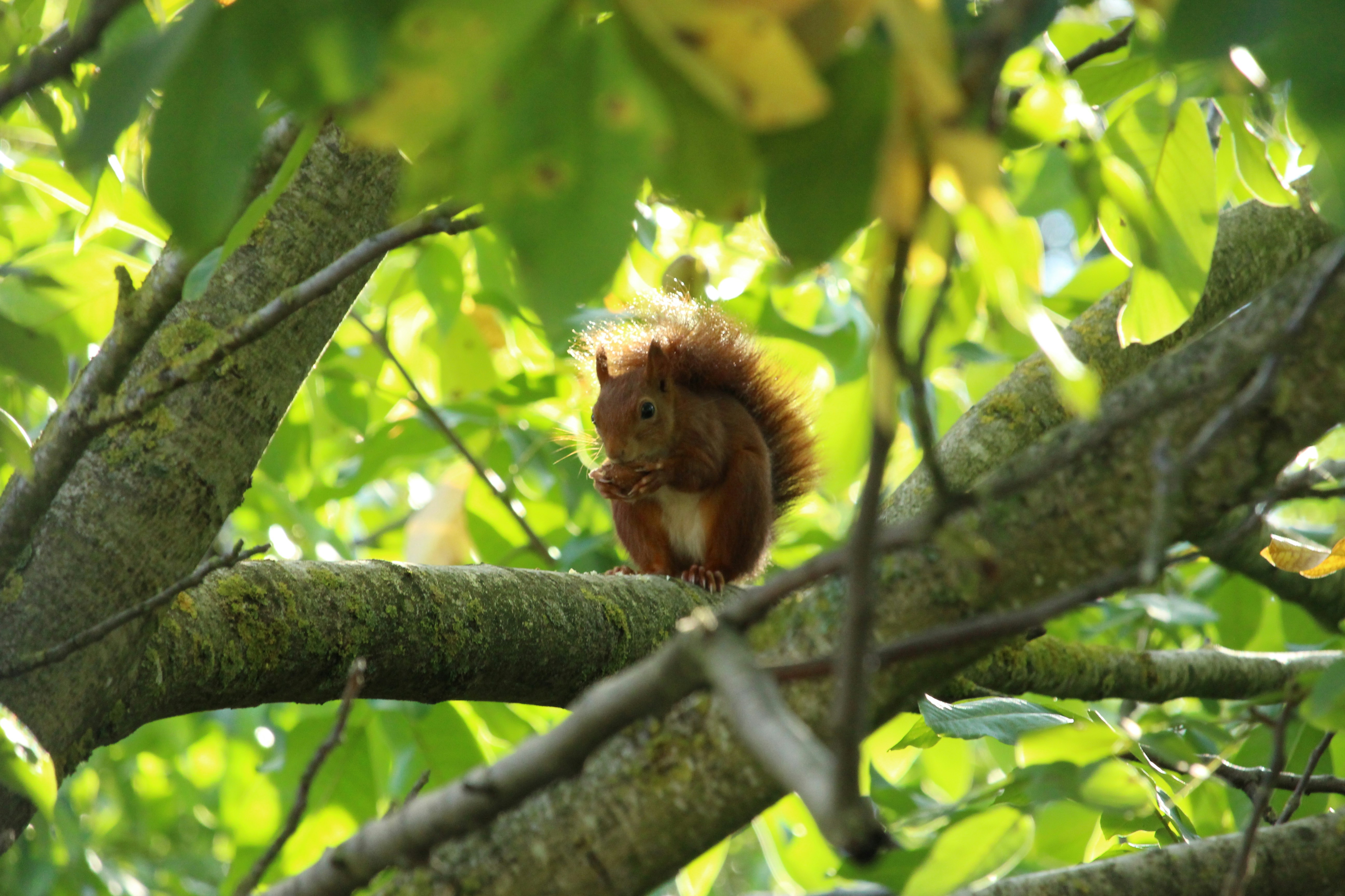 Photo by strawberryk00