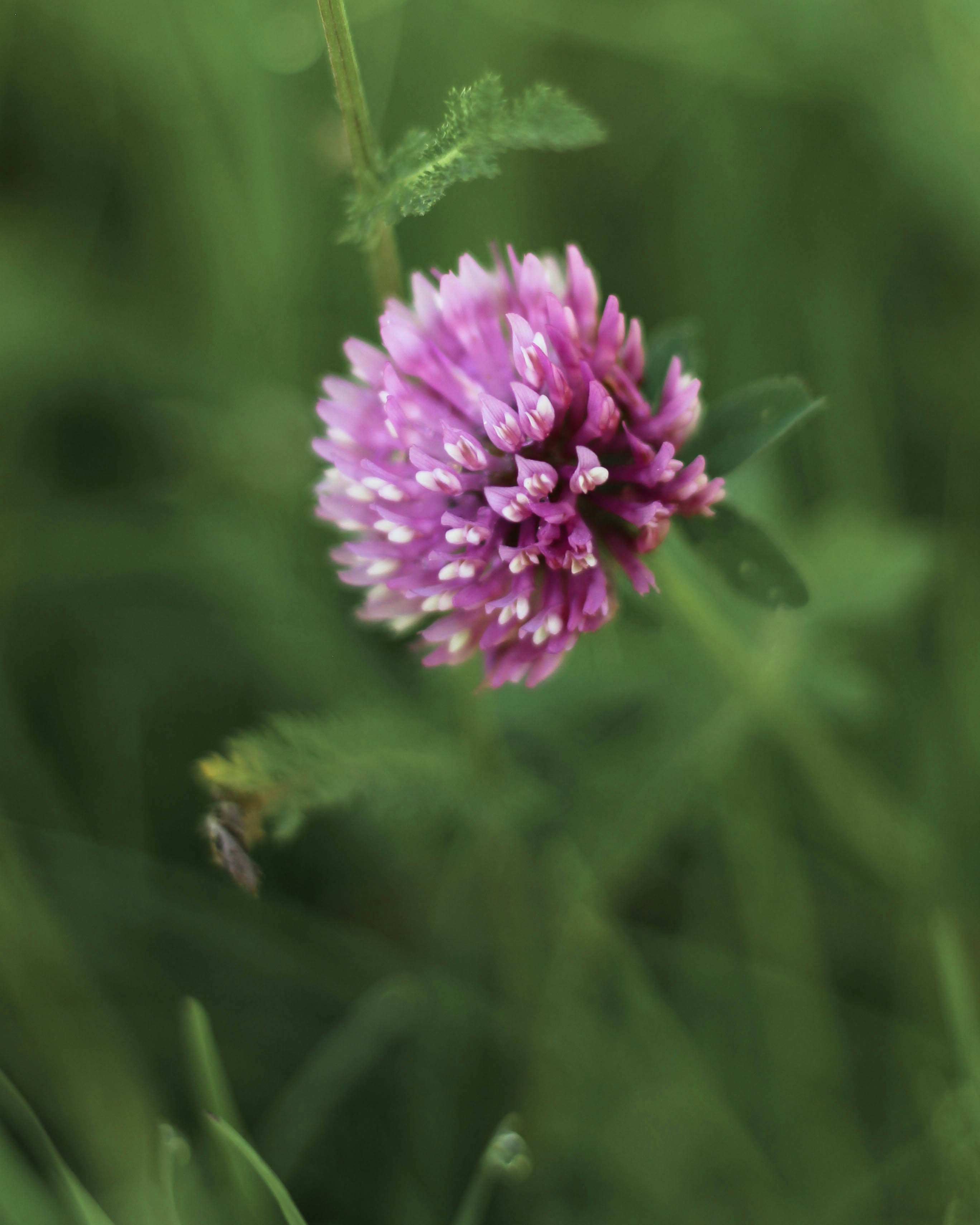 Photo by anna_c_wilhelm