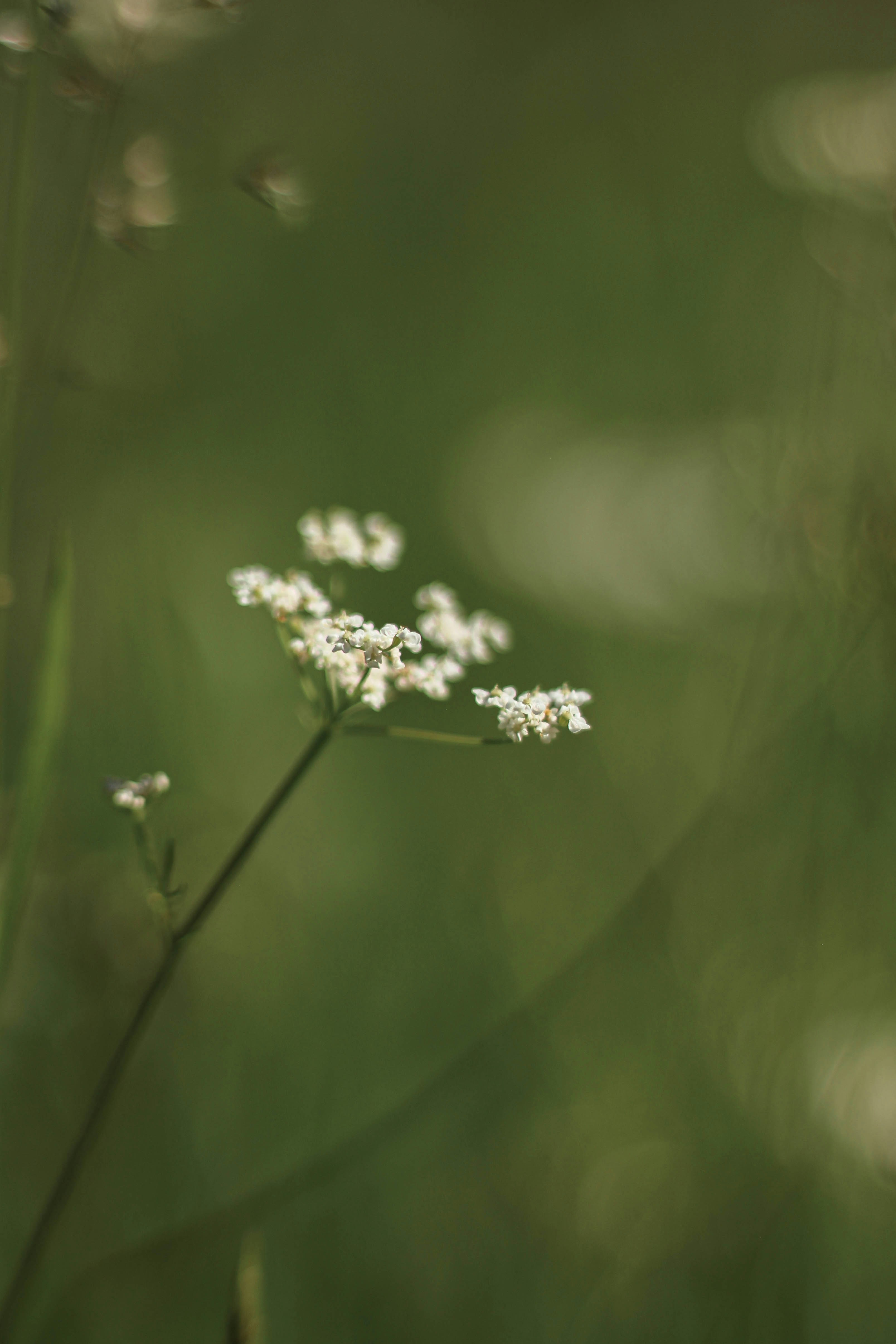 Photo by anna_c_wilhelm