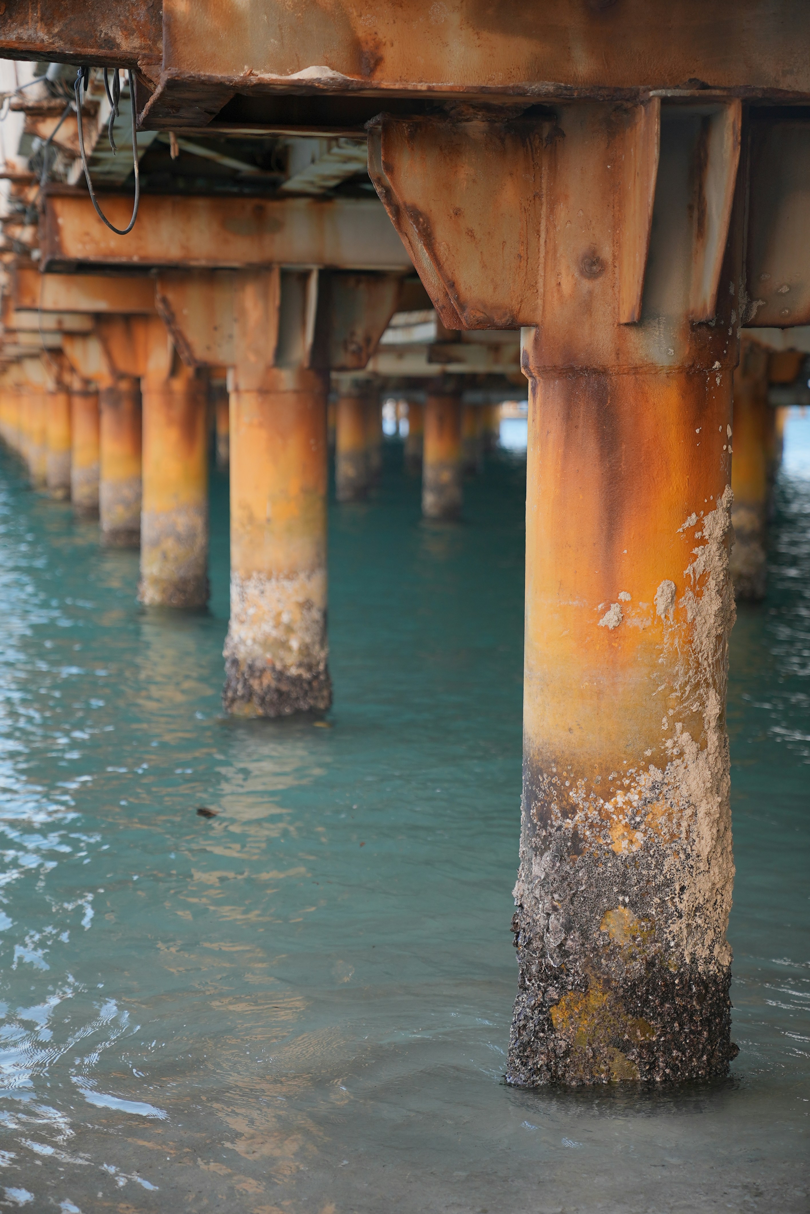 Photo by rafieeartist