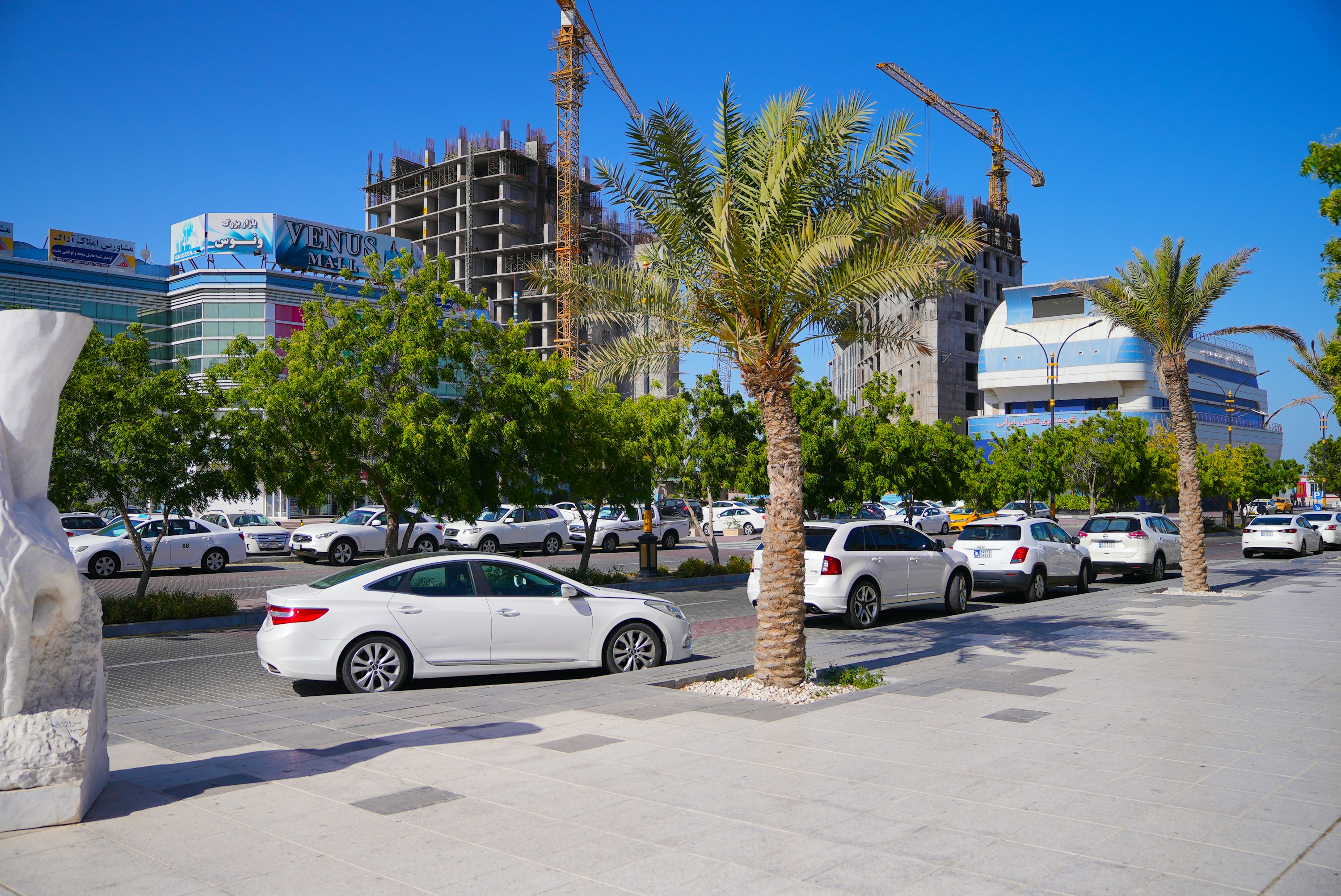 a white car parked in a parking lot next to a palm tree
