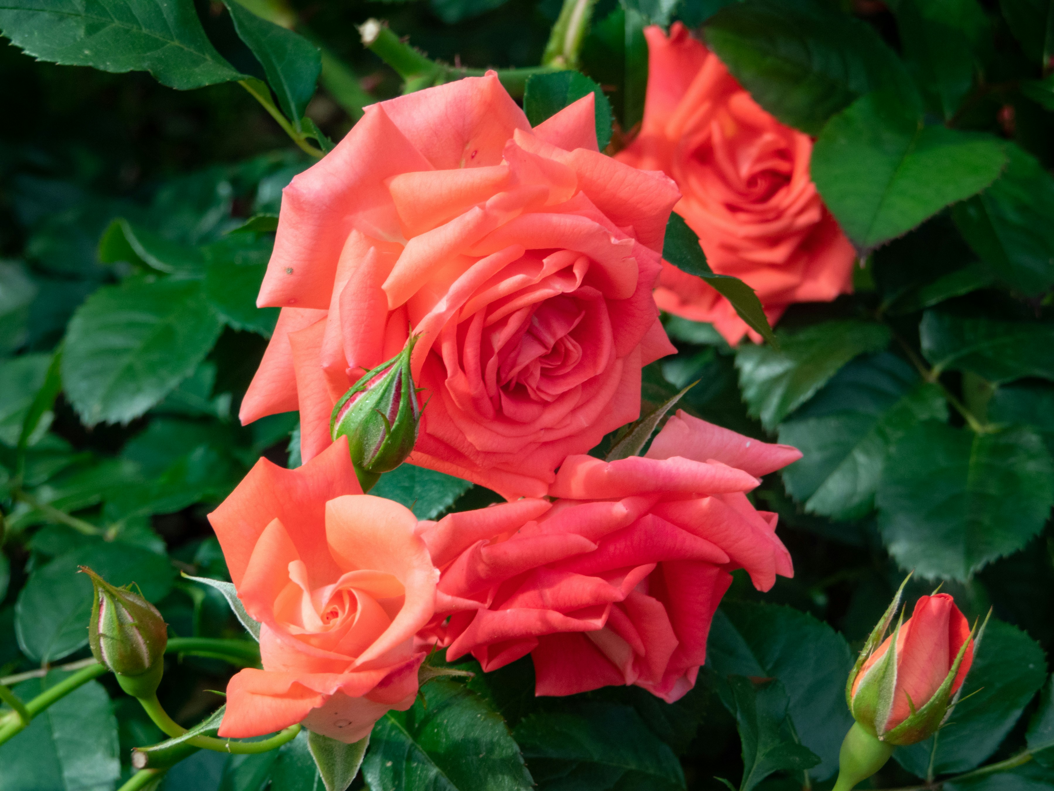 Photo by heppoko_yama