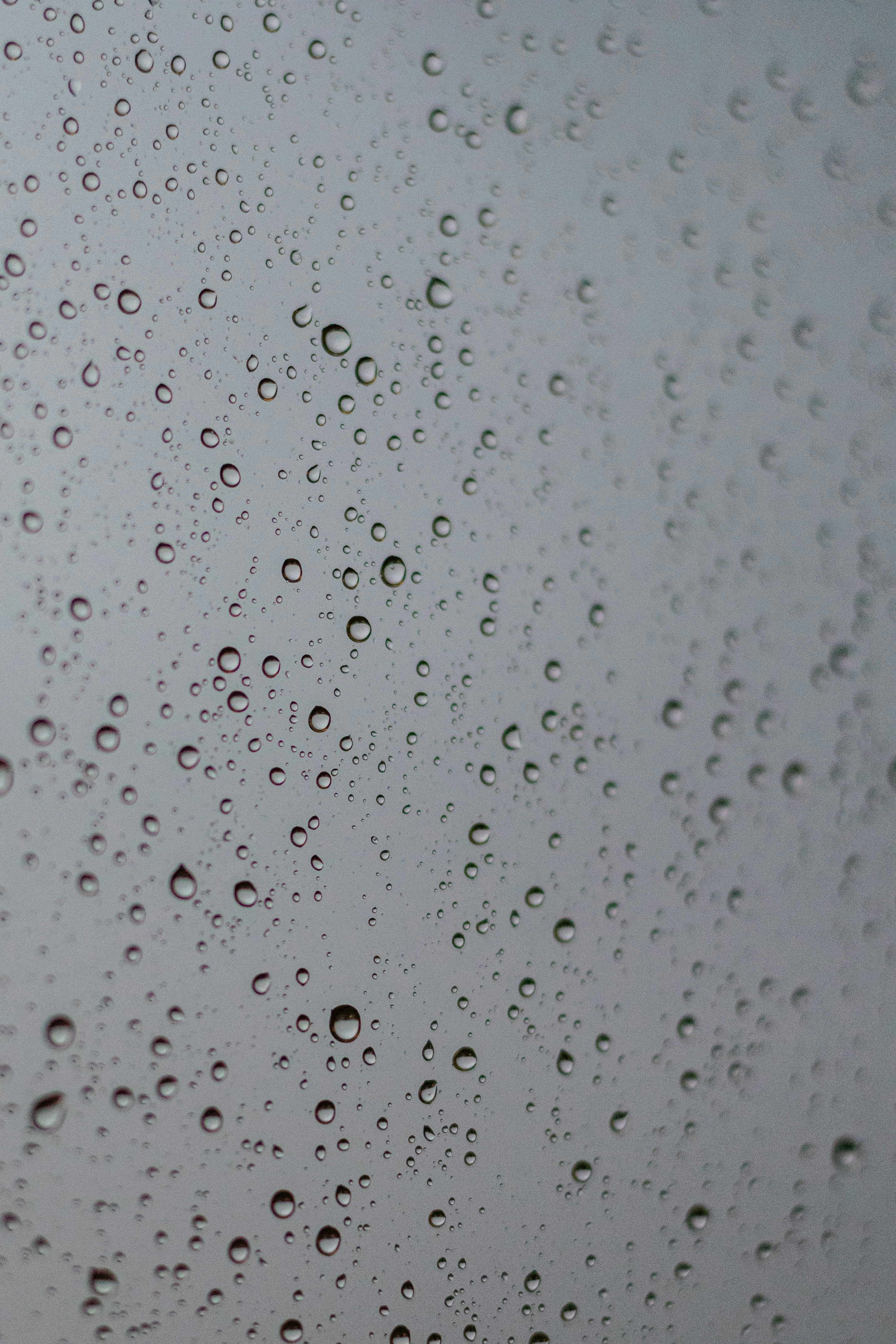 Photo by miklevasilyev