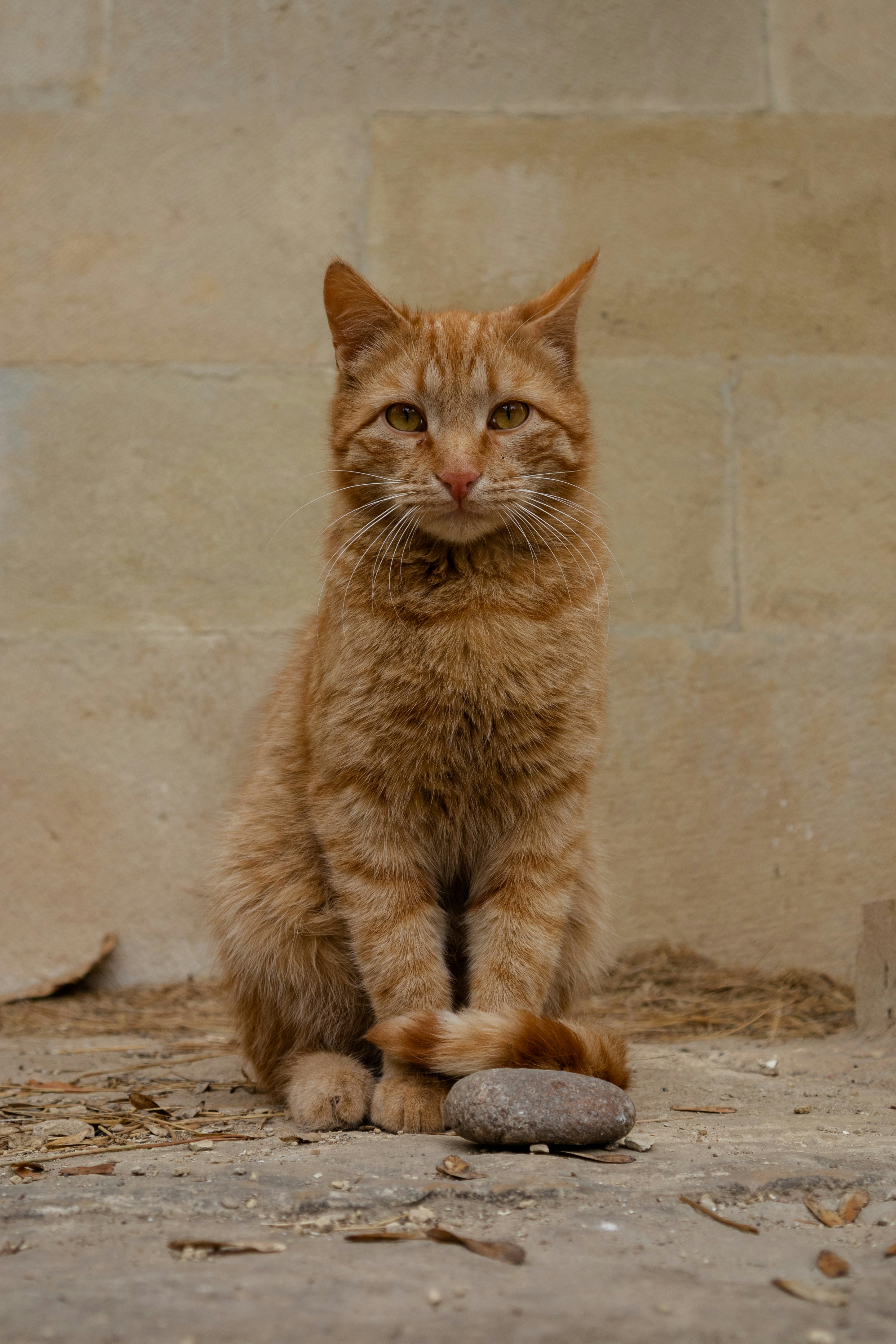 Photo by miklevasilyev