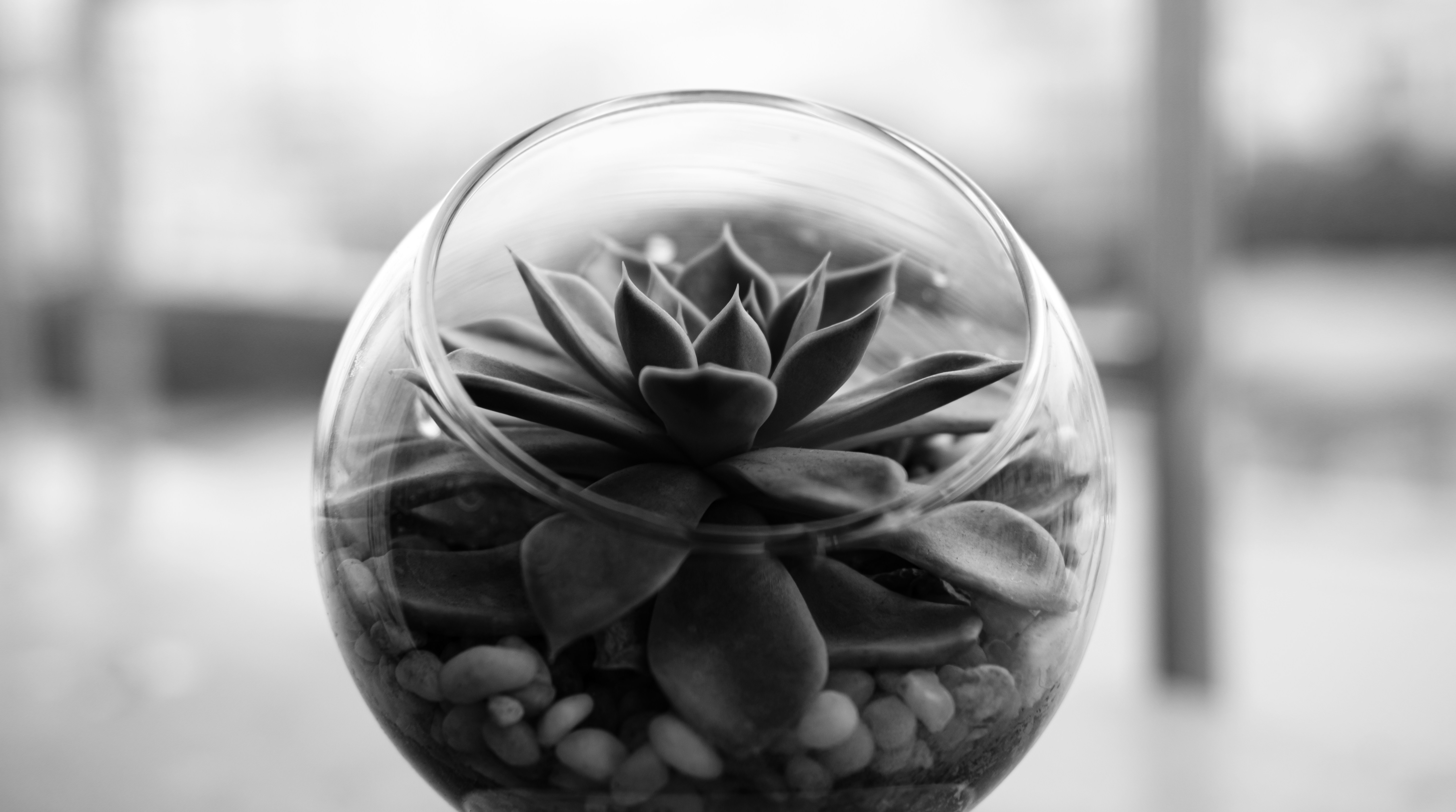 Photo by Nguyễn Hiệp