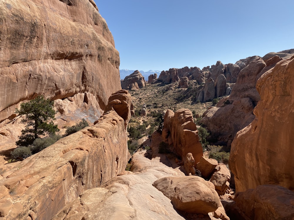 una vista di un paesaggio roccioso da un punto di vista elevato