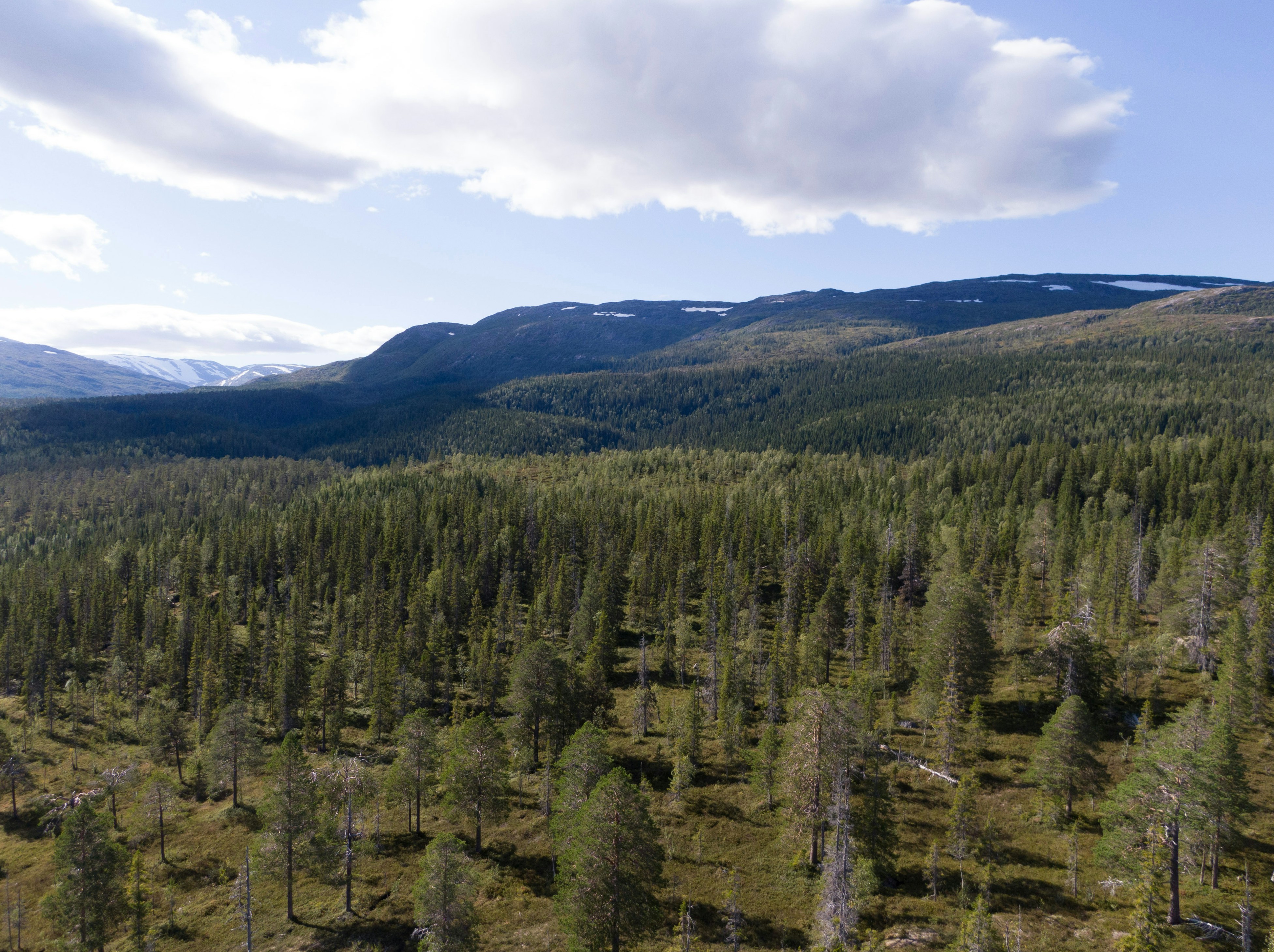 Photo by datingjungle