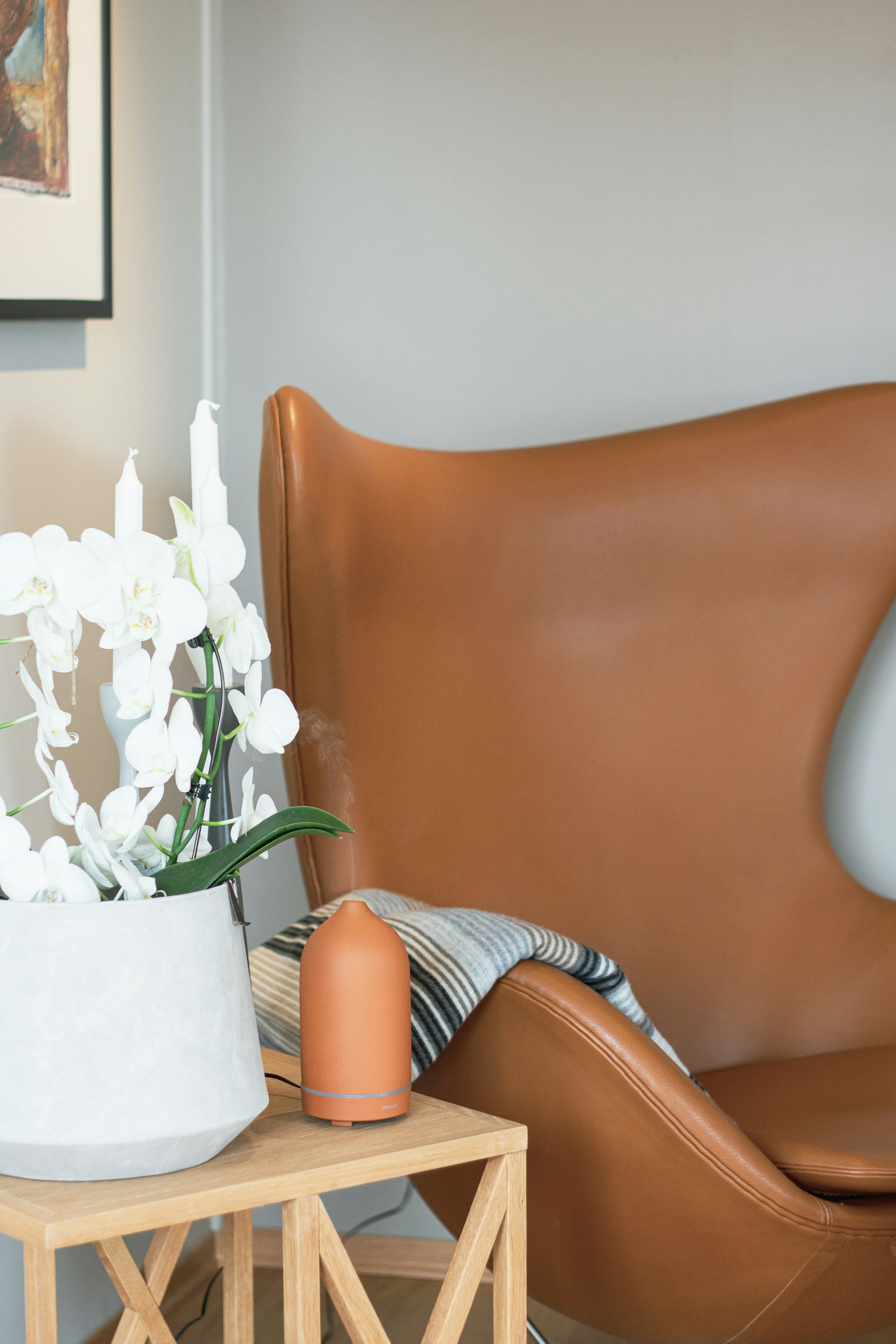 Photo by volantaroma