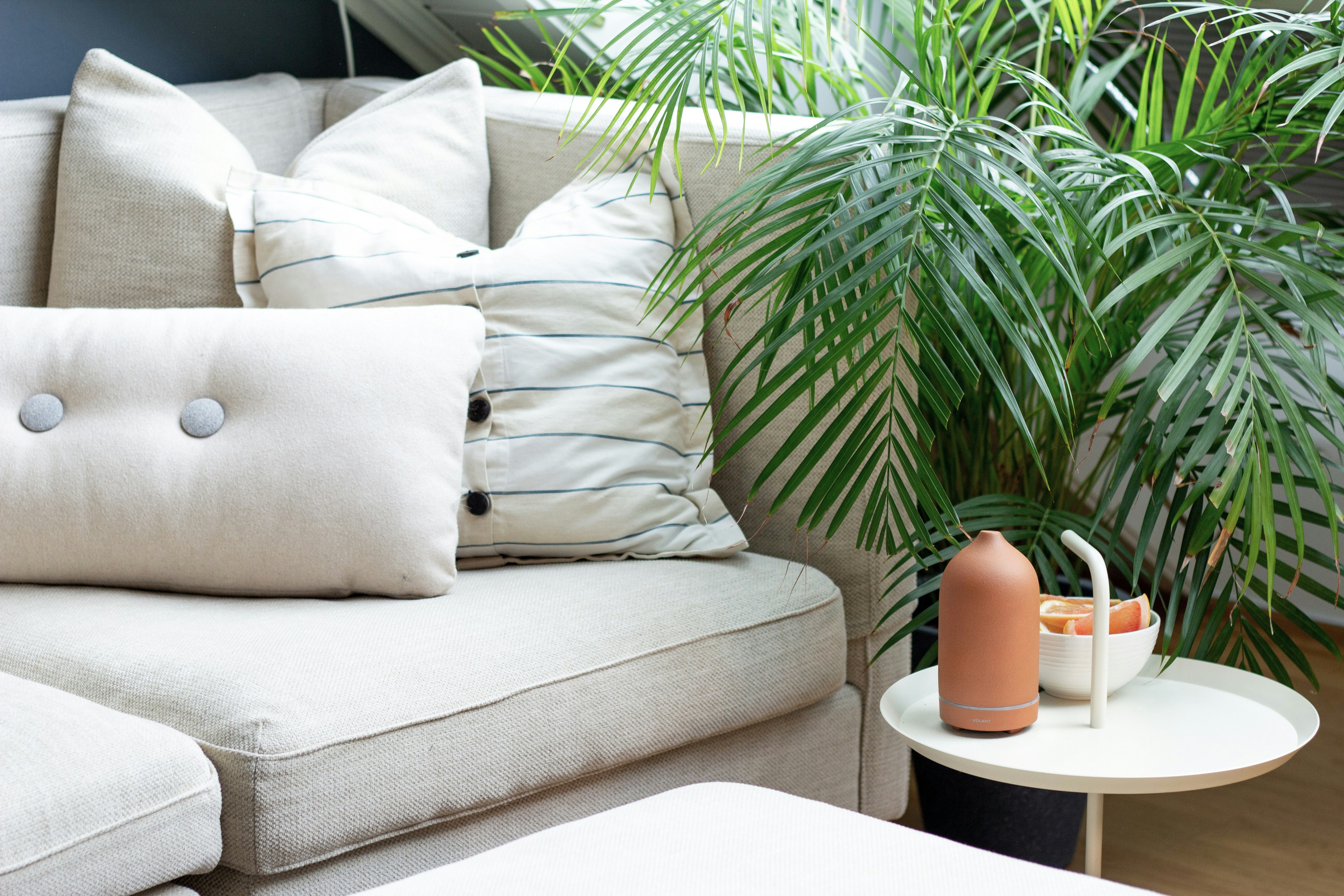 Photo by volantaroma