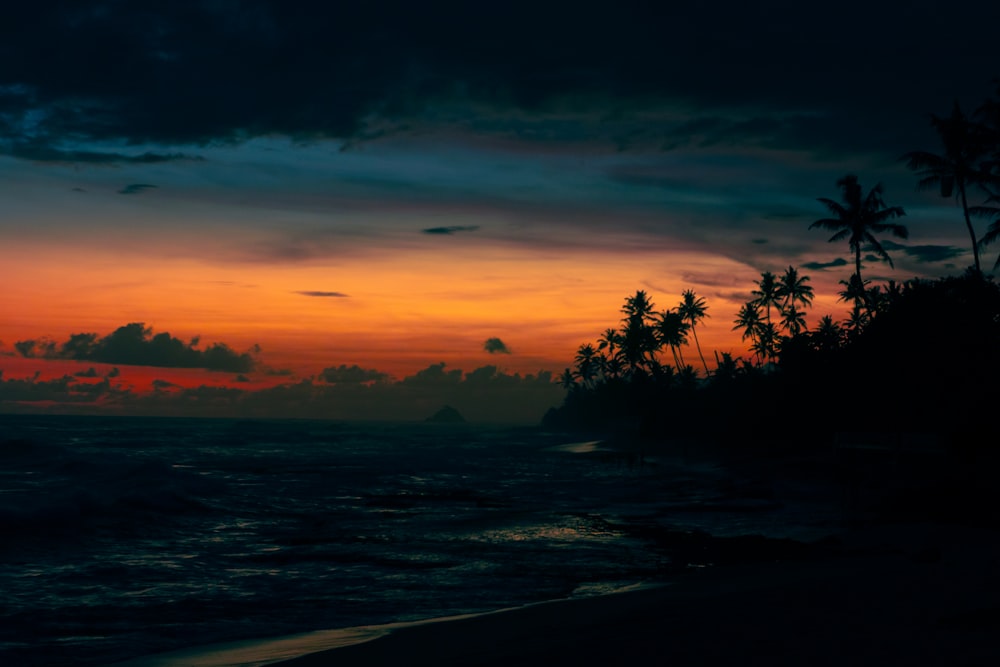 a sunset over the ocean with palm trees