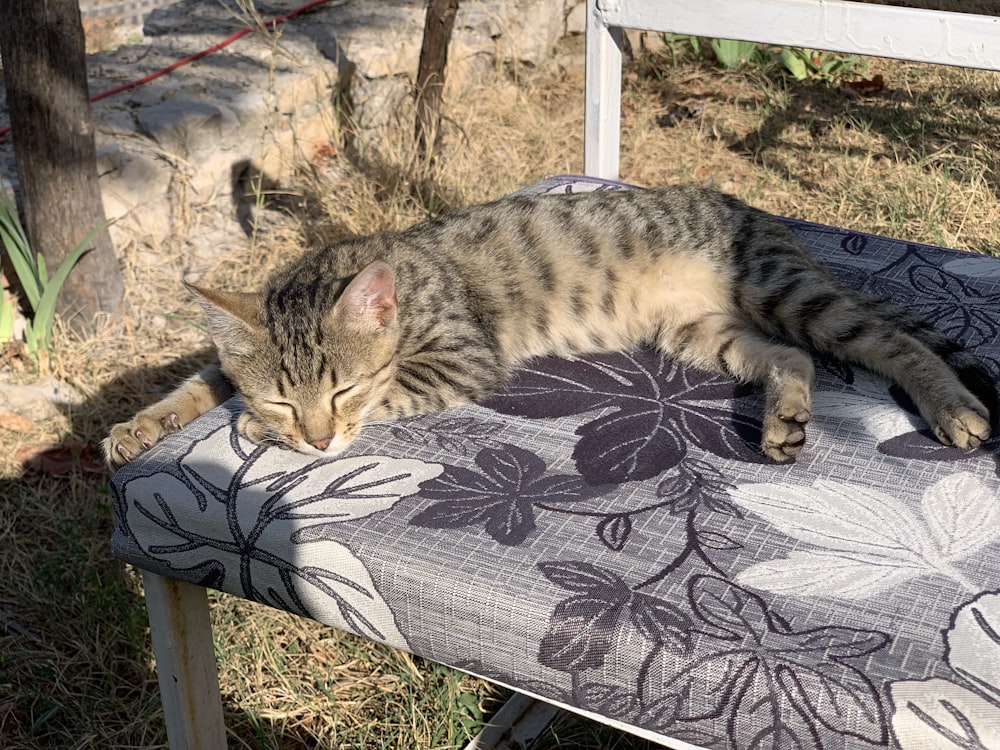a cat is sleeping on a chair outside