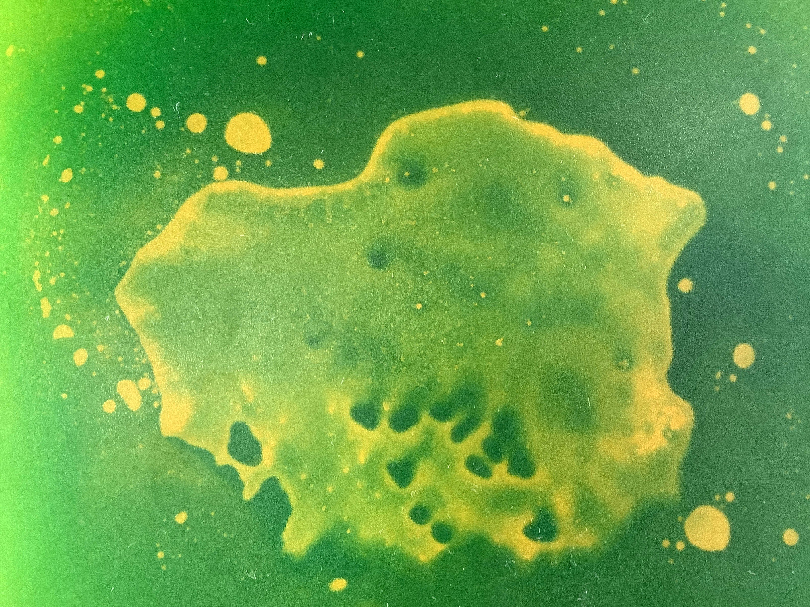 a yellow substance floating in a green liquid
