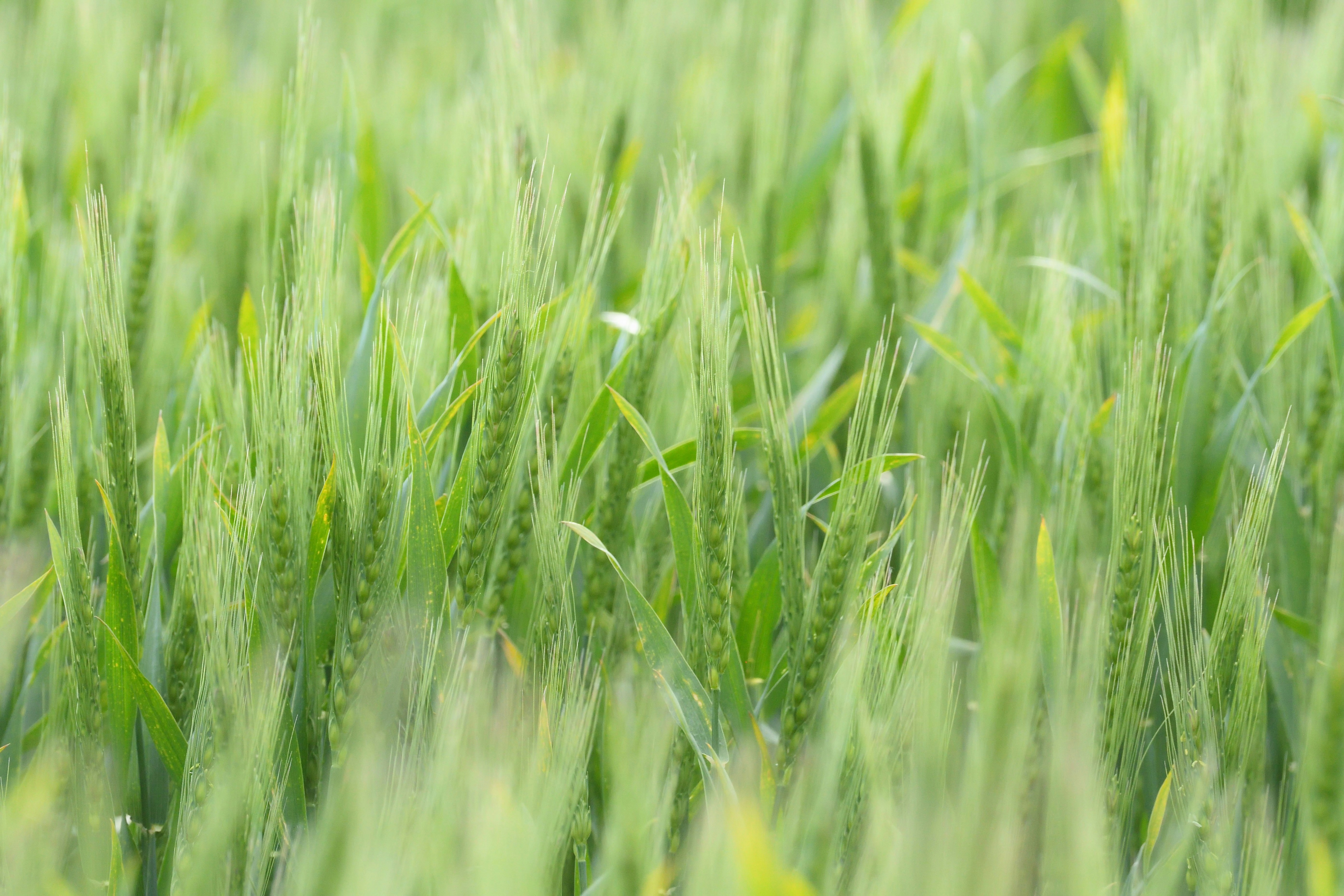 Photo by freezer_nico