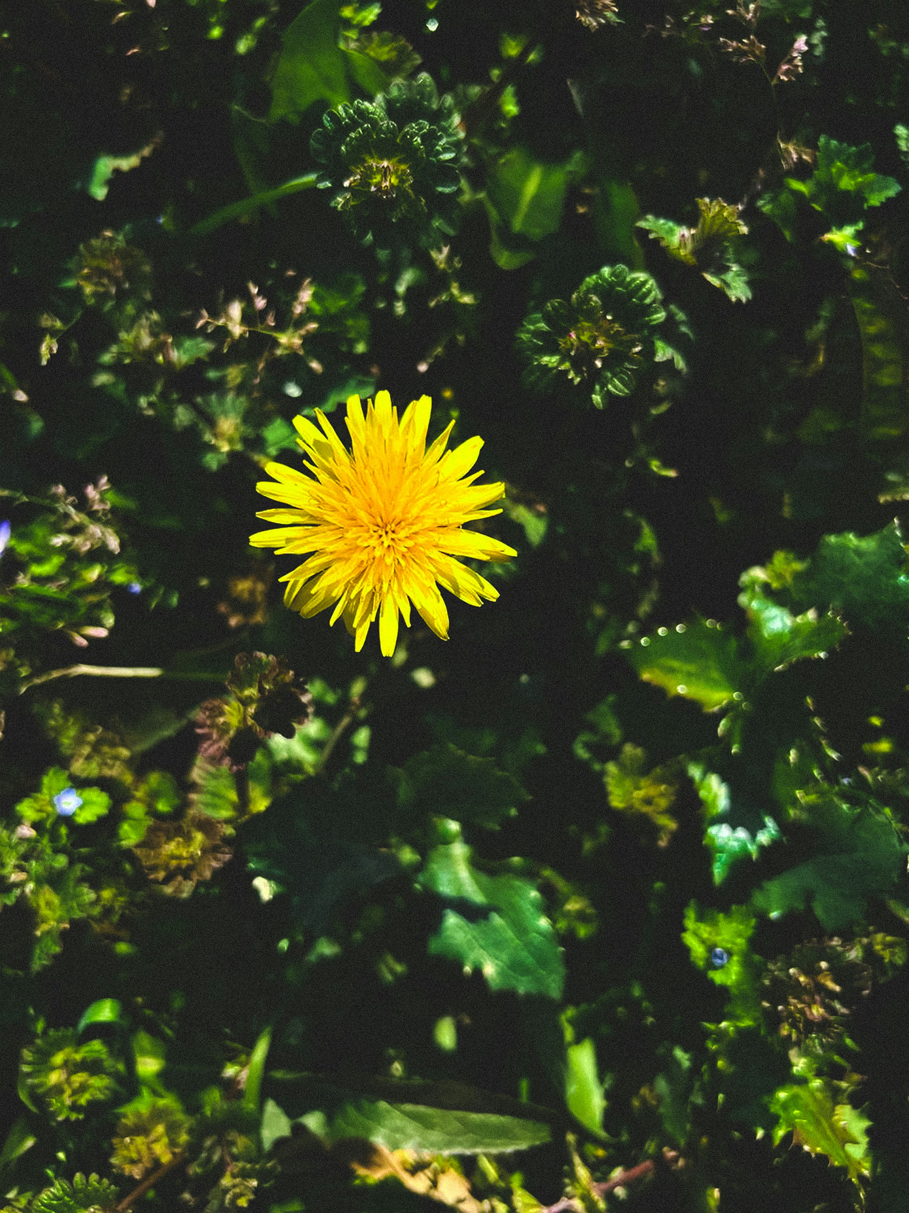 Photo by ayselgarayeva