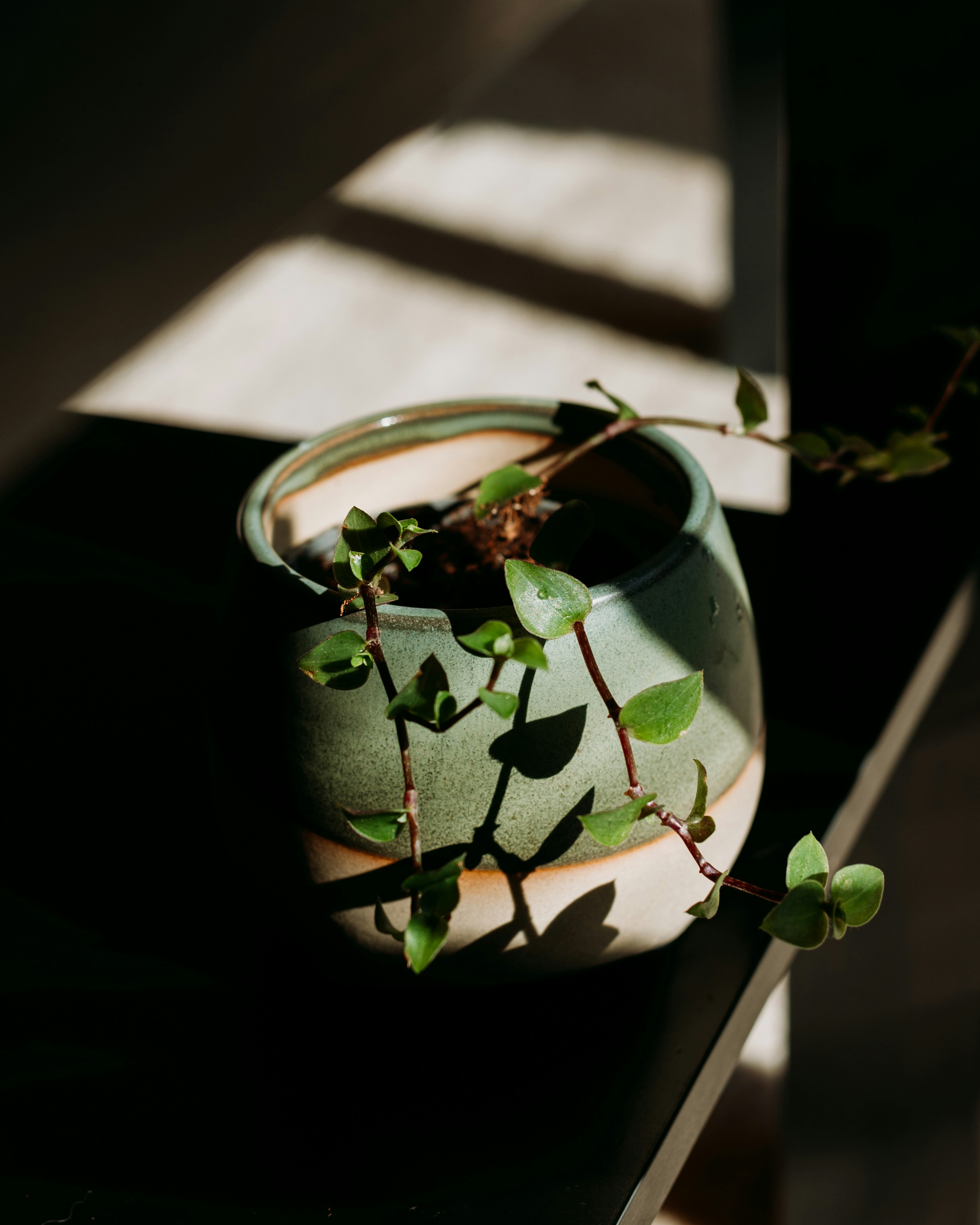 Photo by virginiaphotostories