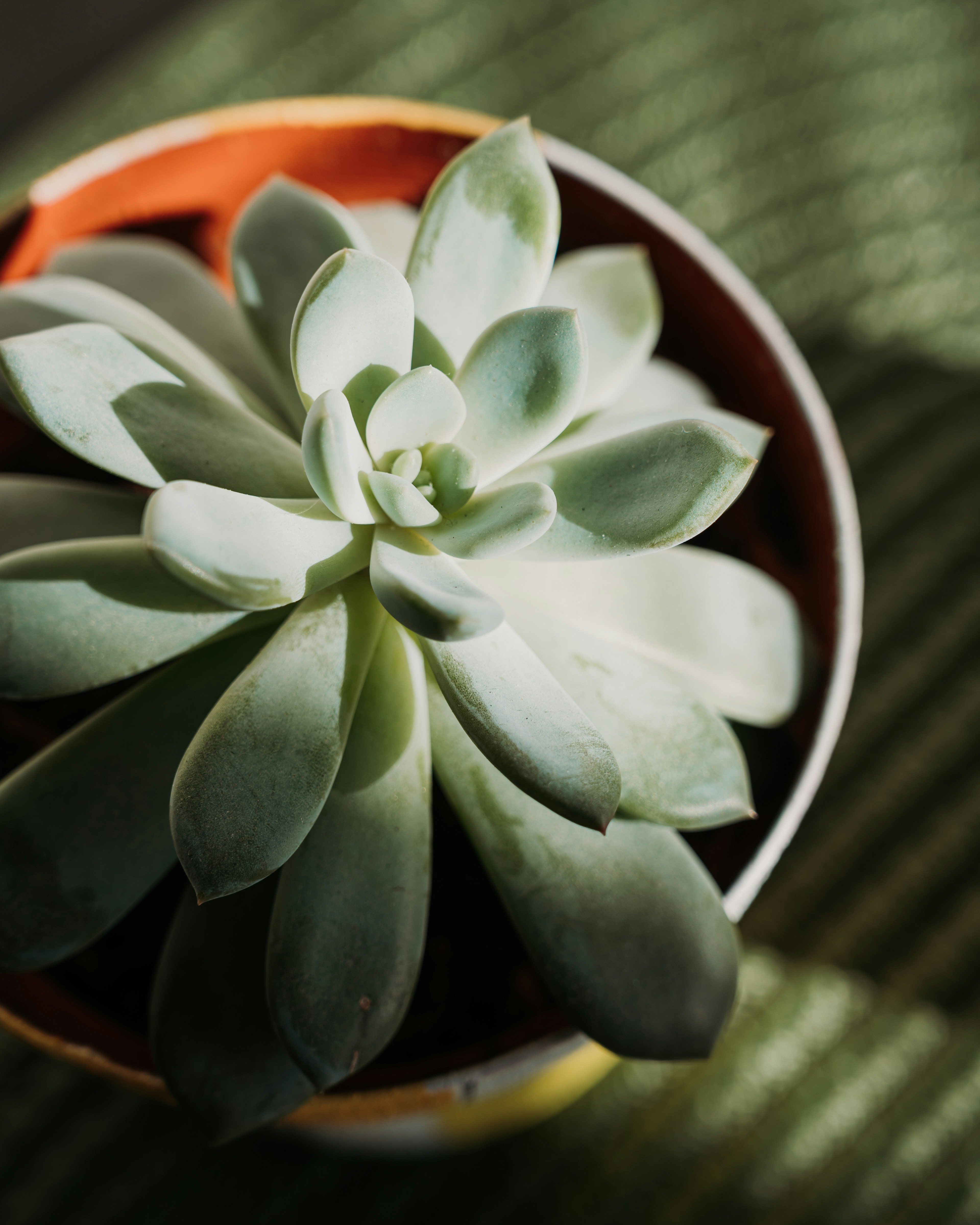 Photo by virginiaphotostories