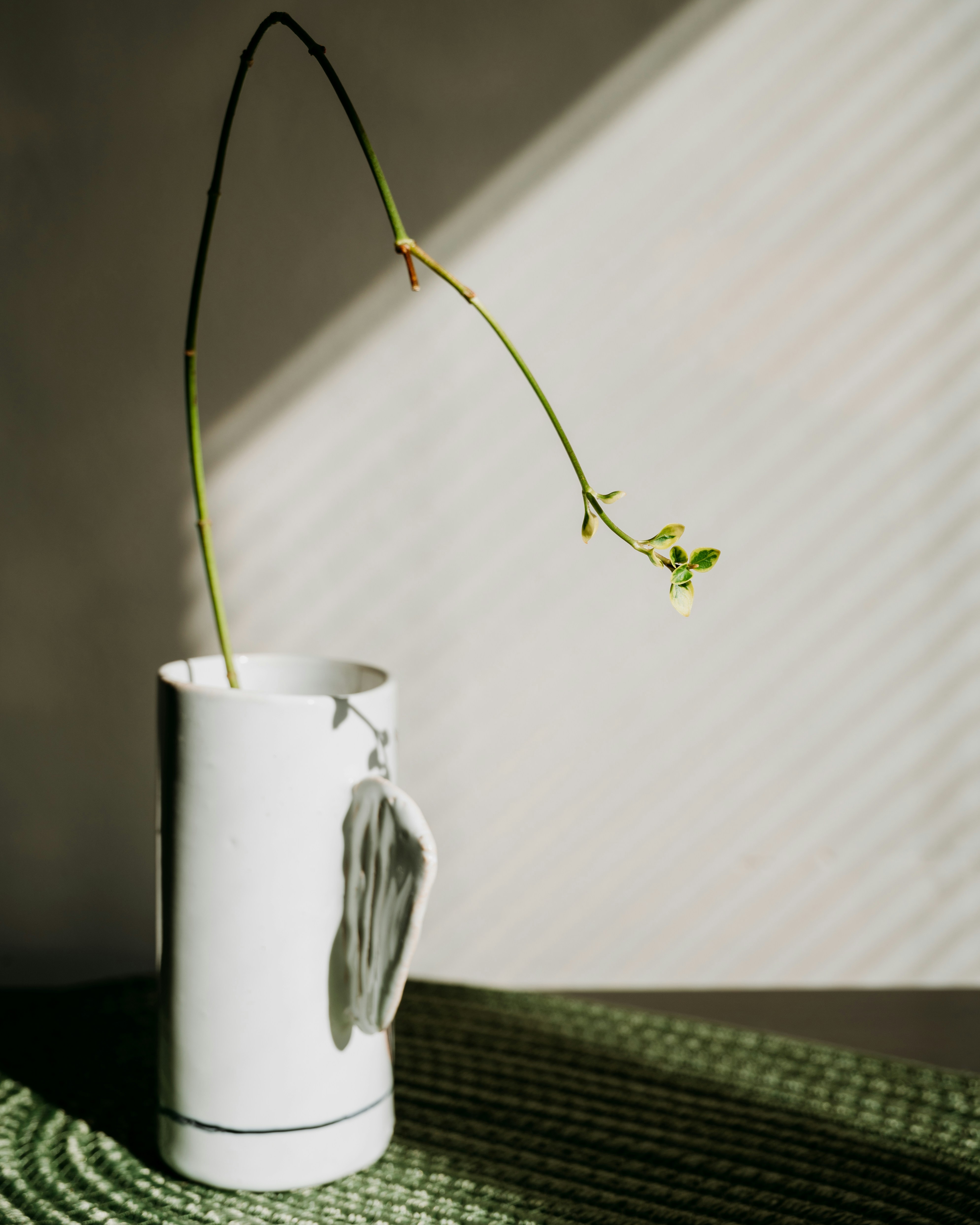 Photo by virginiaphotostories