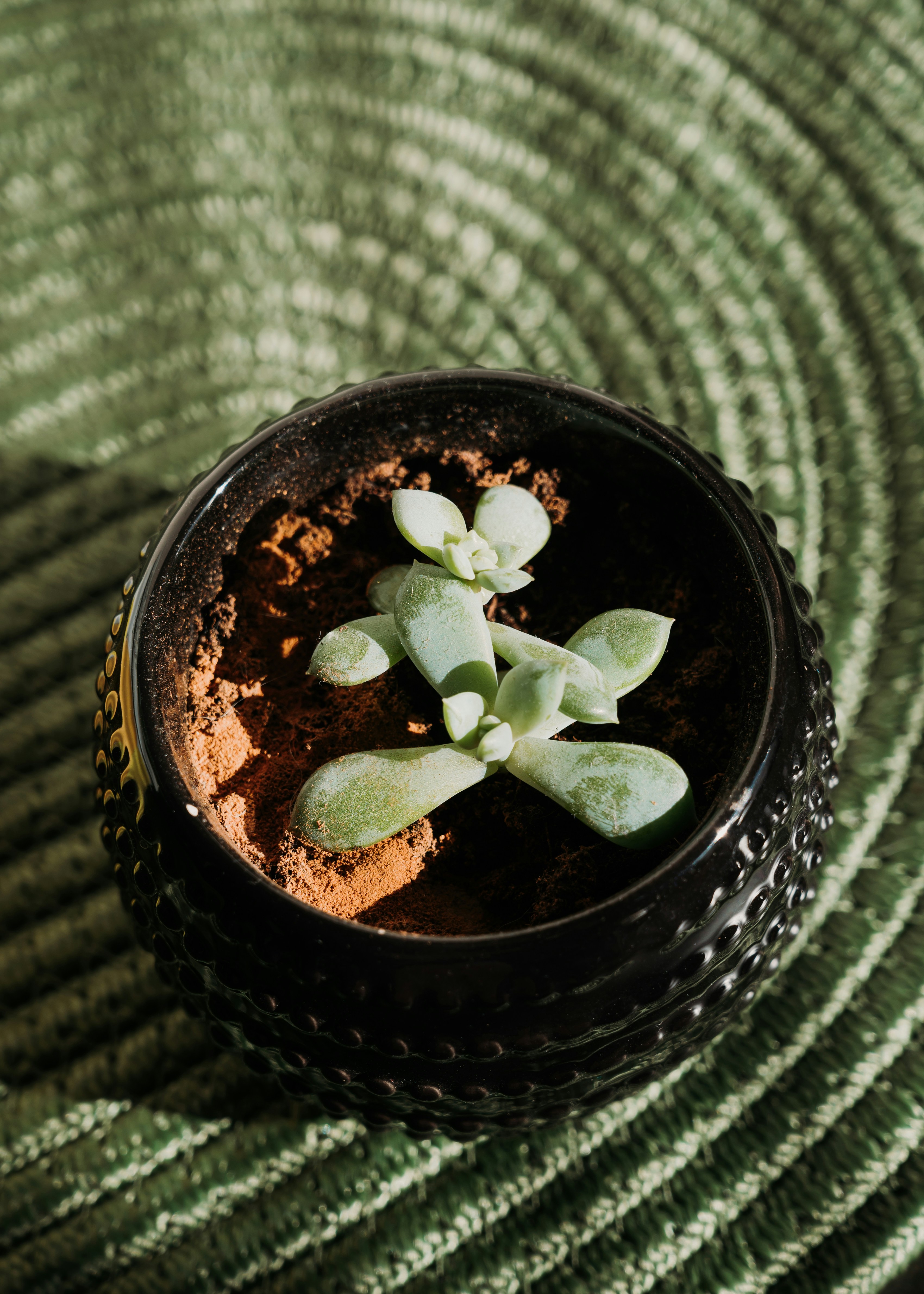 Photo by virginiaphotostories