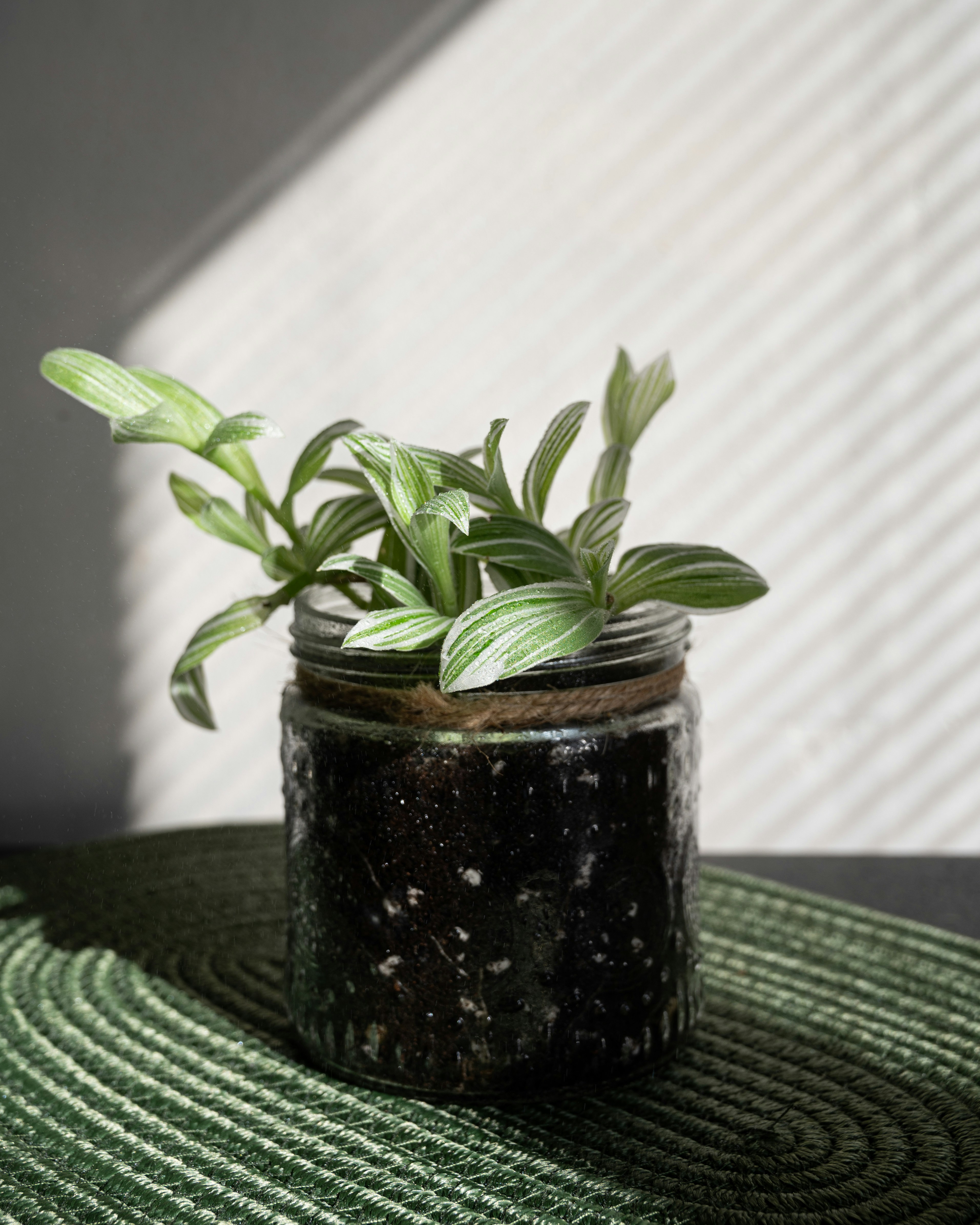 Photo by virginiaphotostories