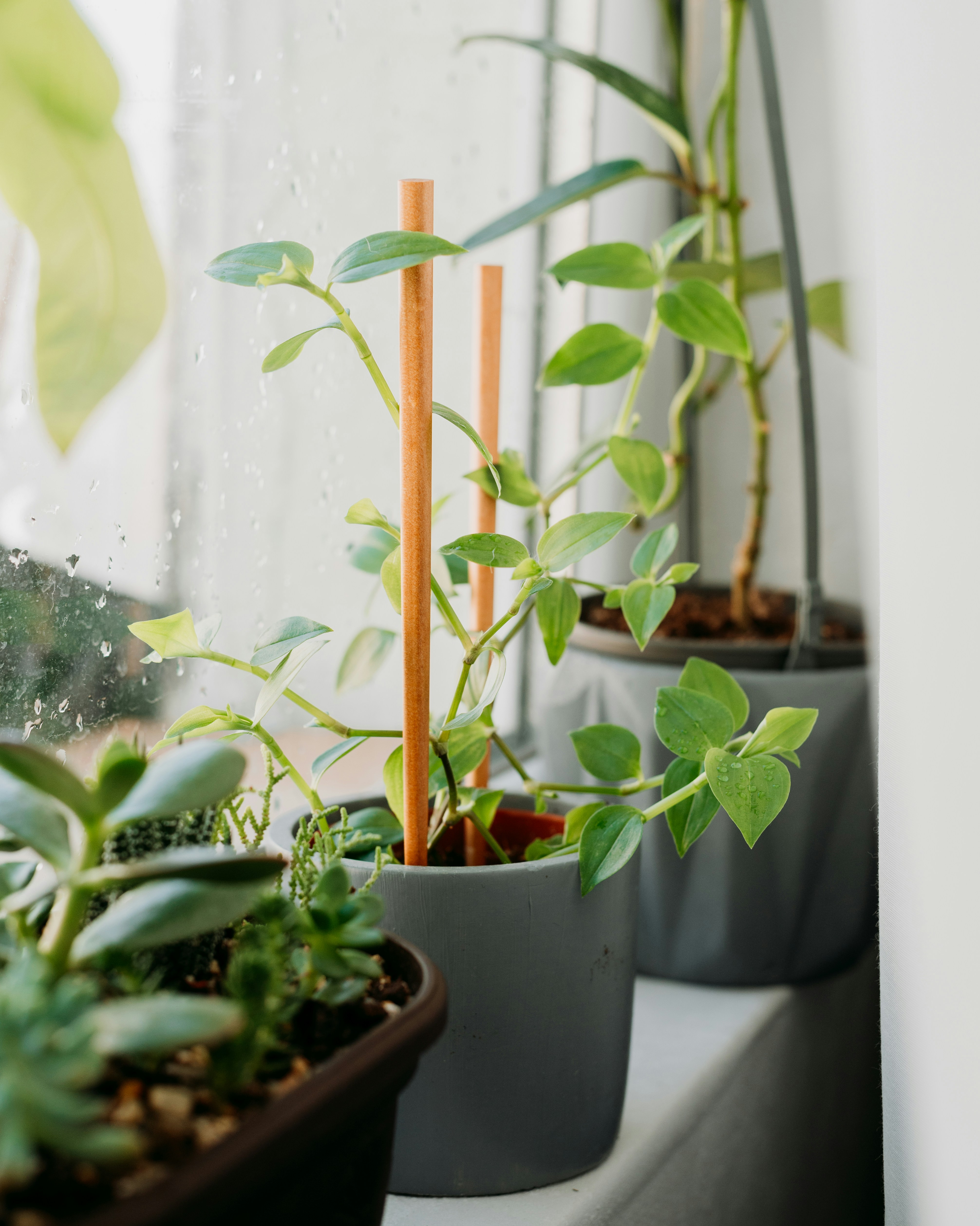 Photo by virginiaphotostories