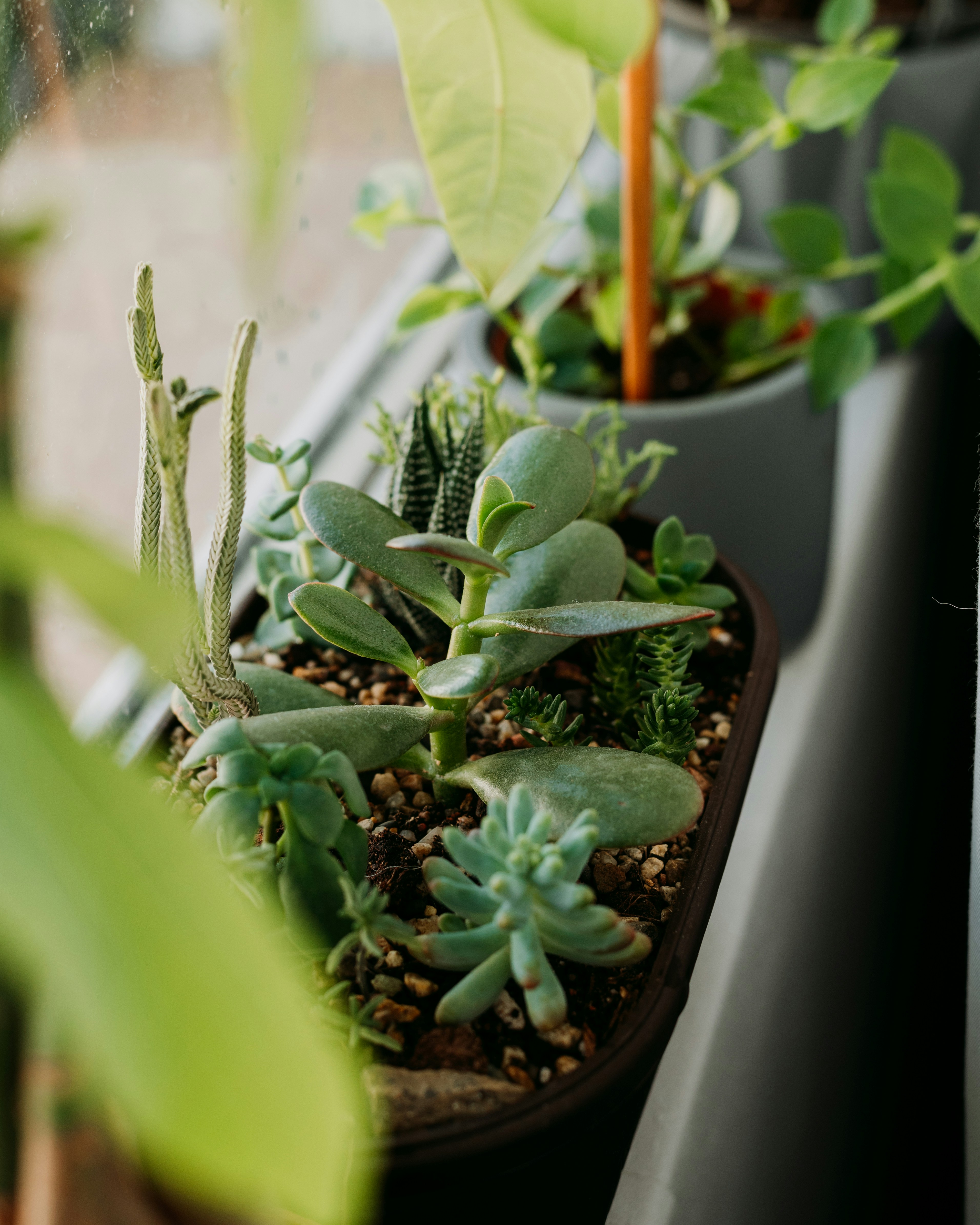 Photo by virginiaphotostories