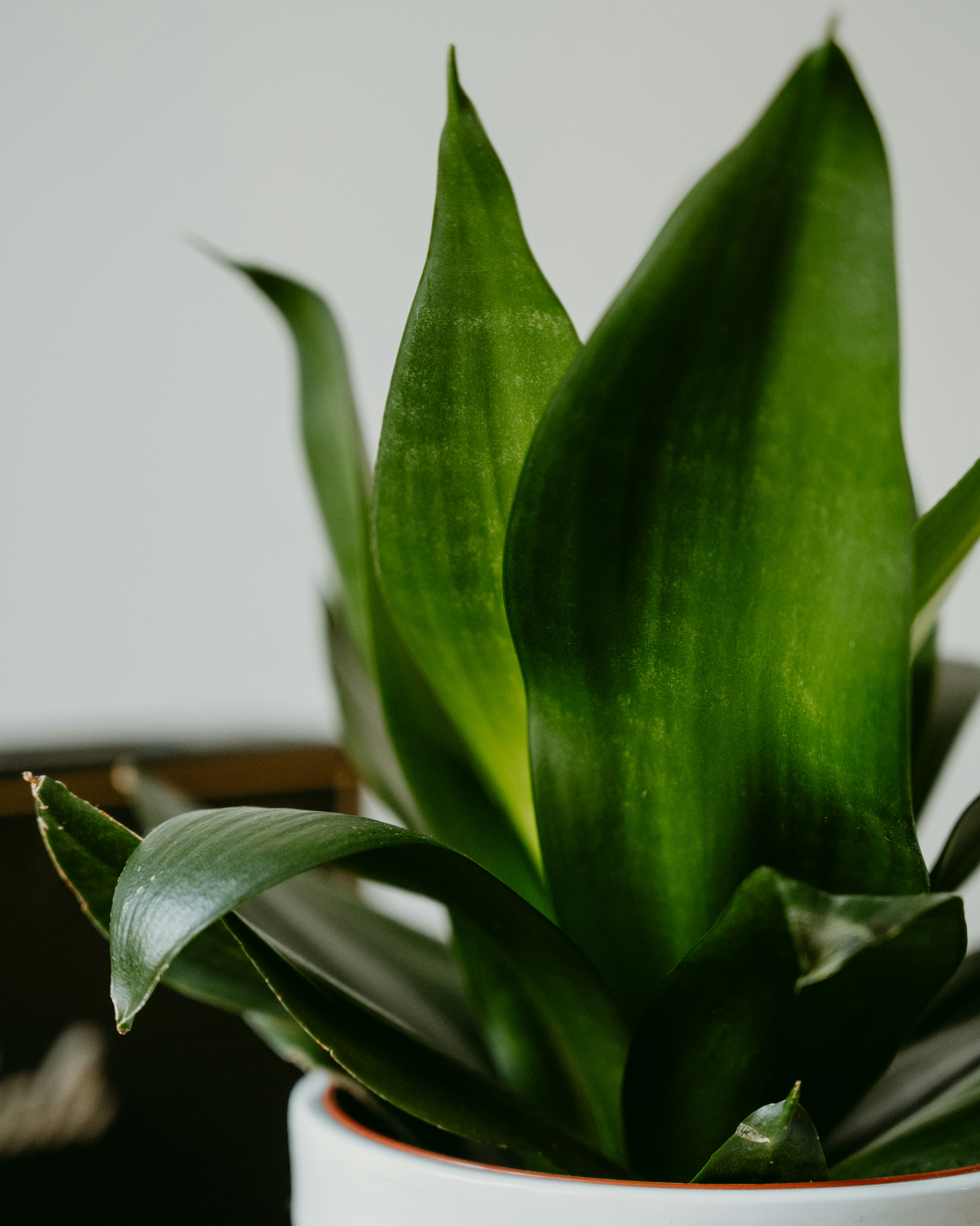 Photo by virginiaphotostories