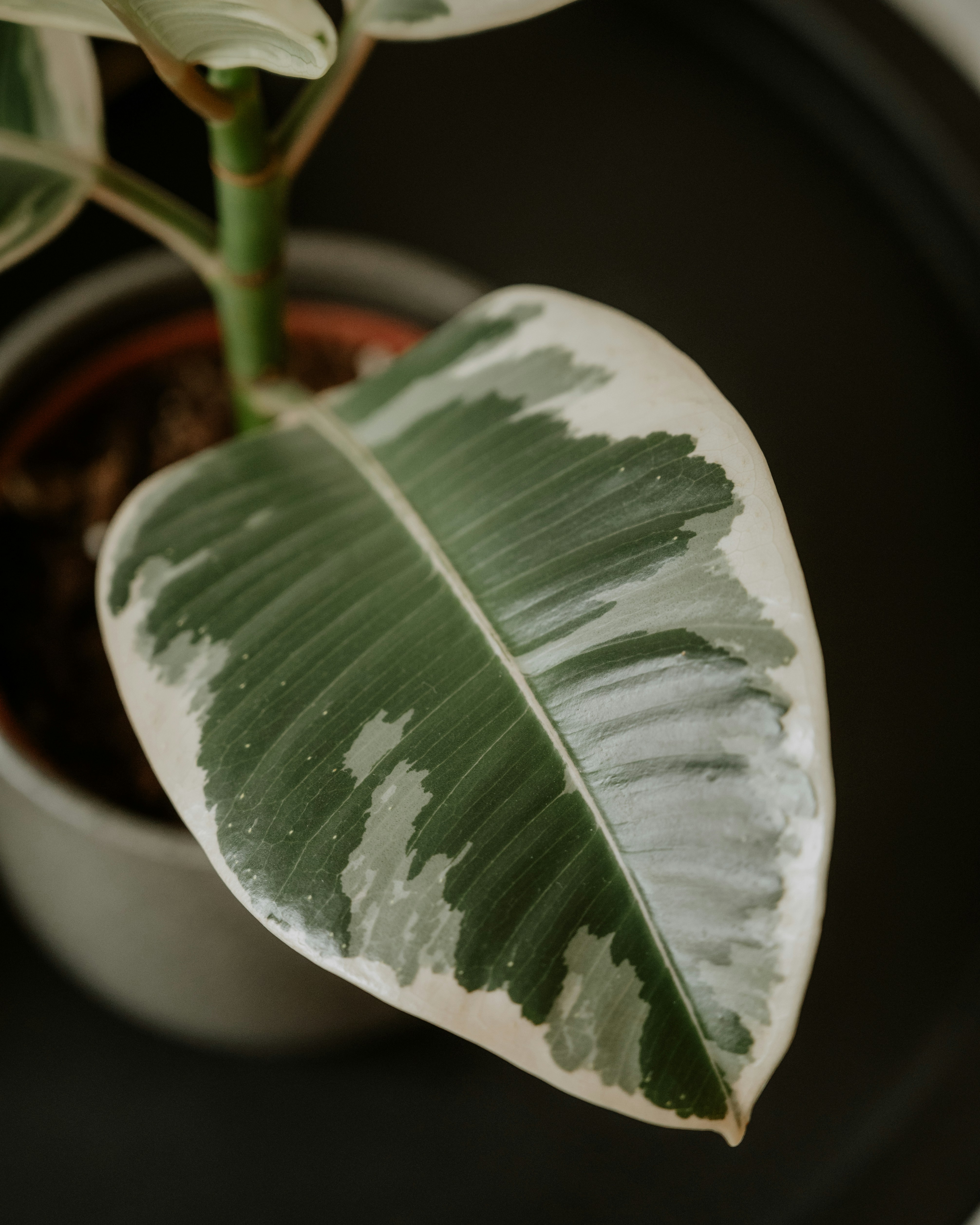 Photo by virginiaphotostories