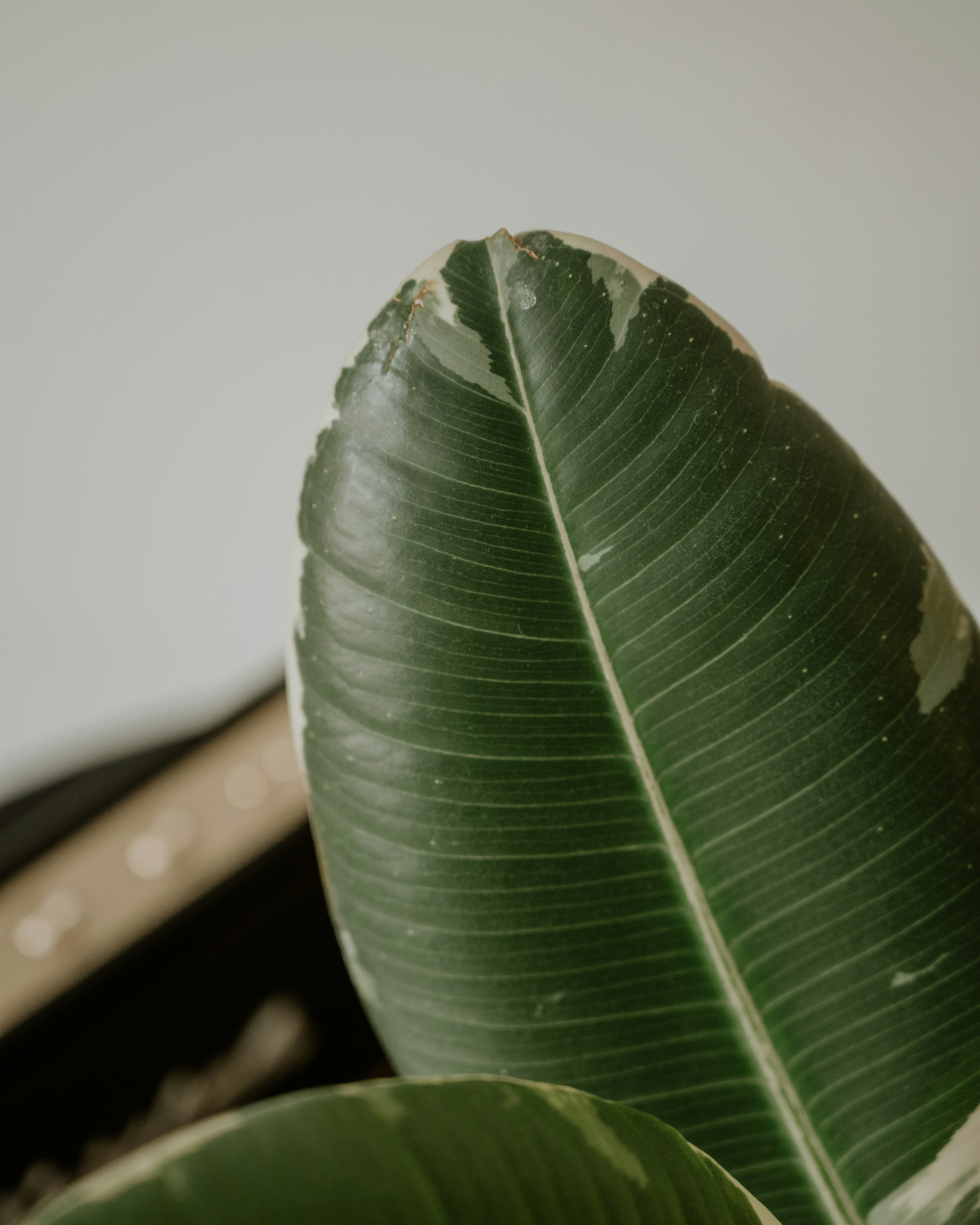 Photo by virginiaphotostories