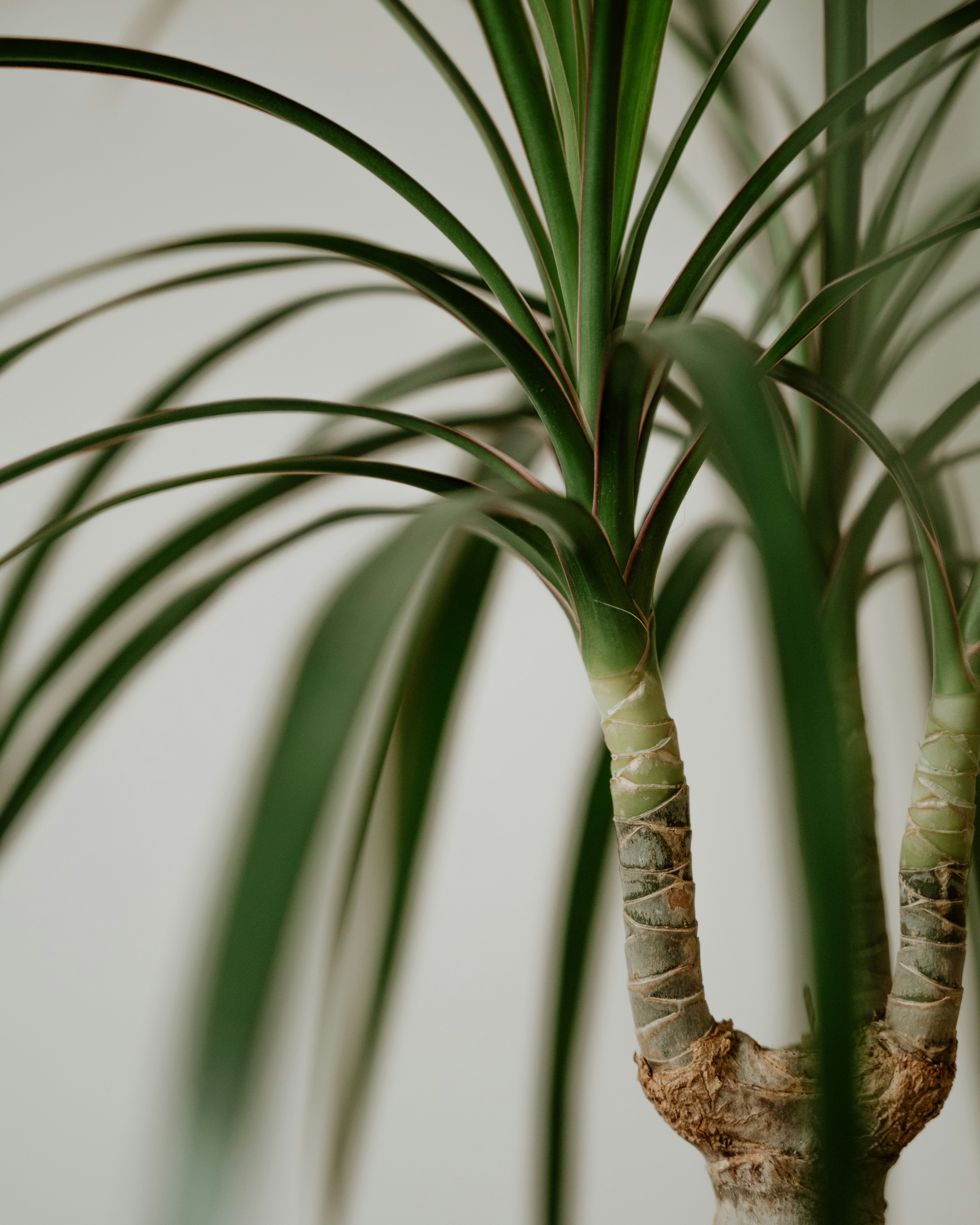 Photo by virginiaphotostories