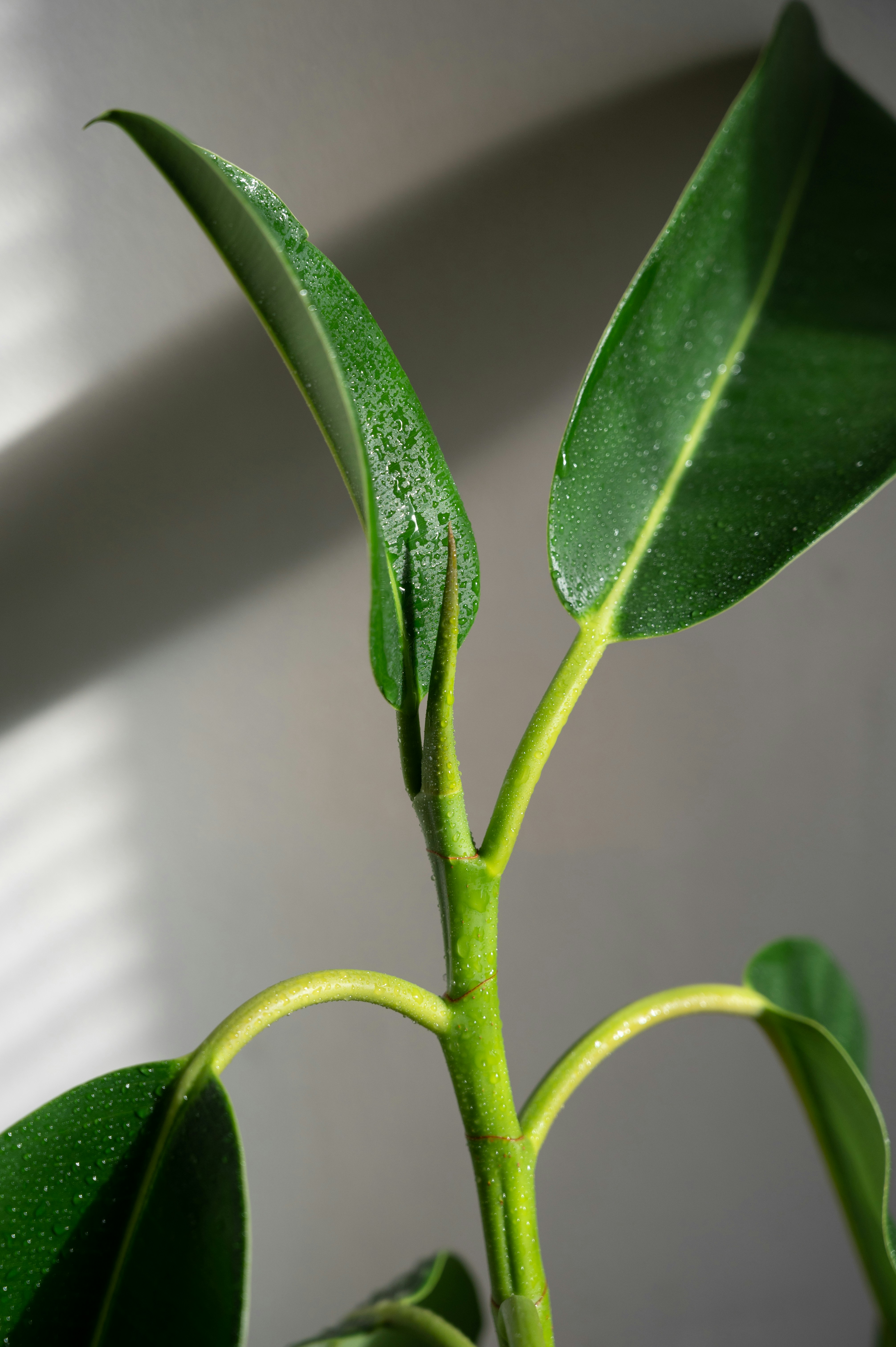 Photo by virginiaphotostories