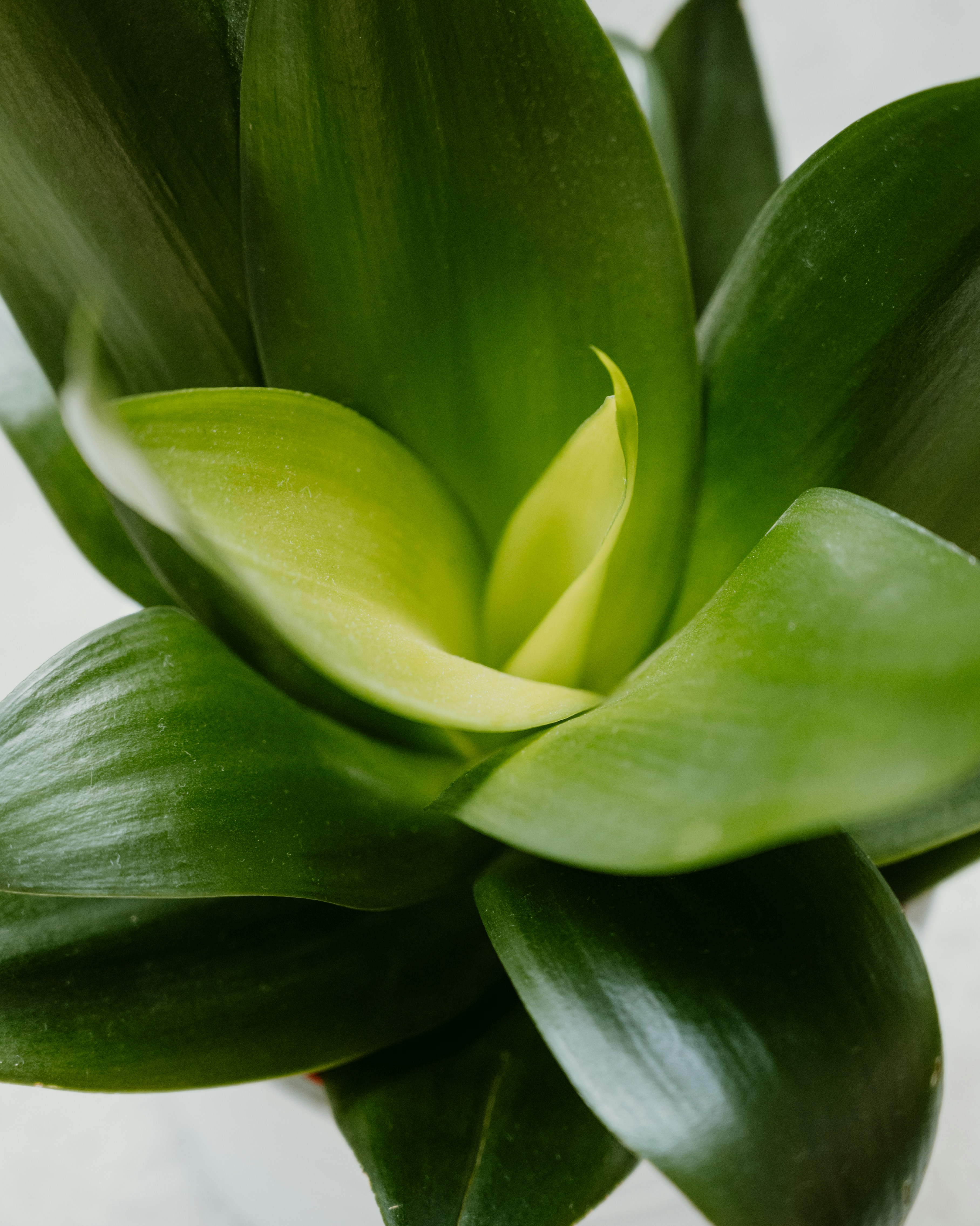 Photo by virginiaphotostories