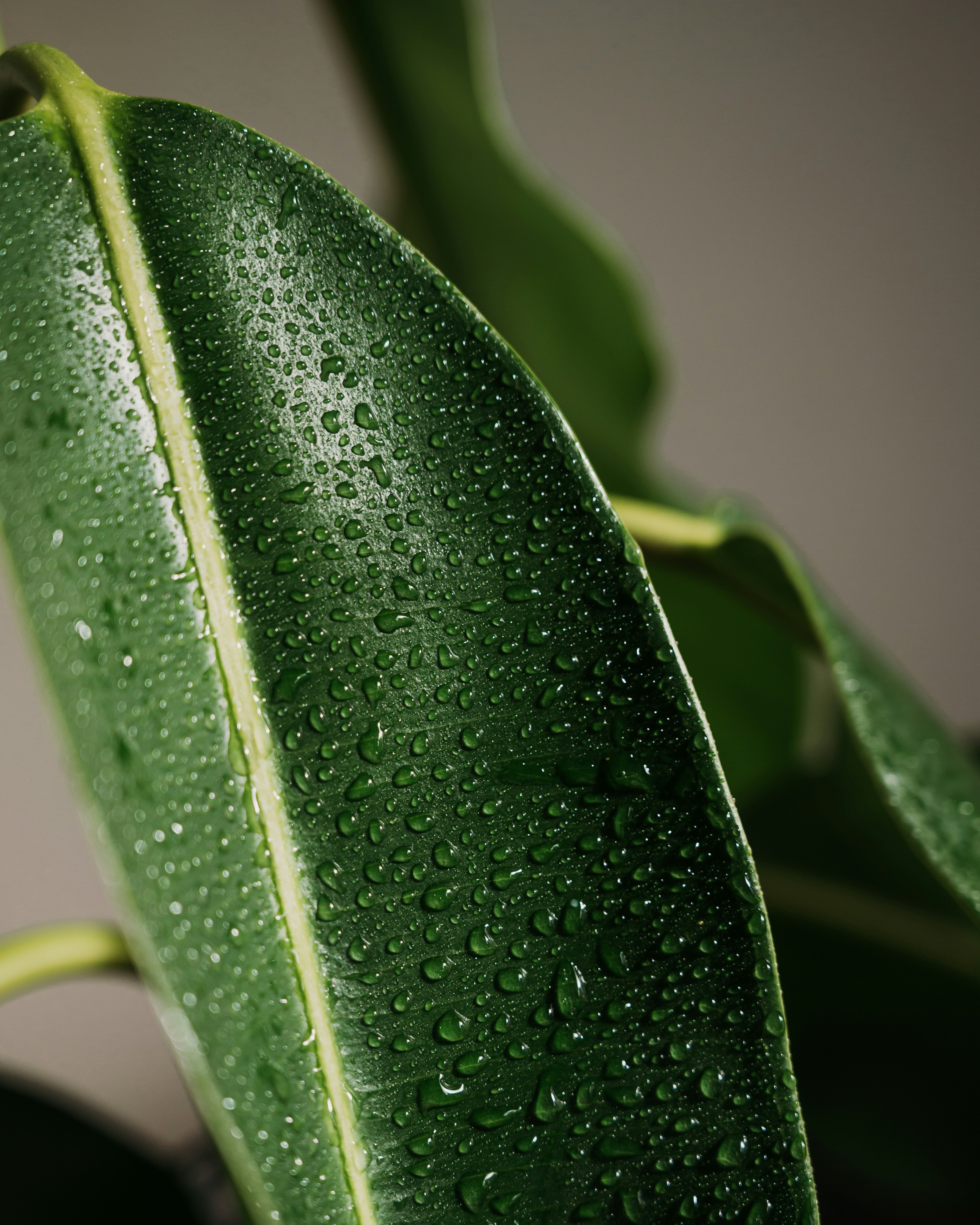 Photo by virginiaphotostories