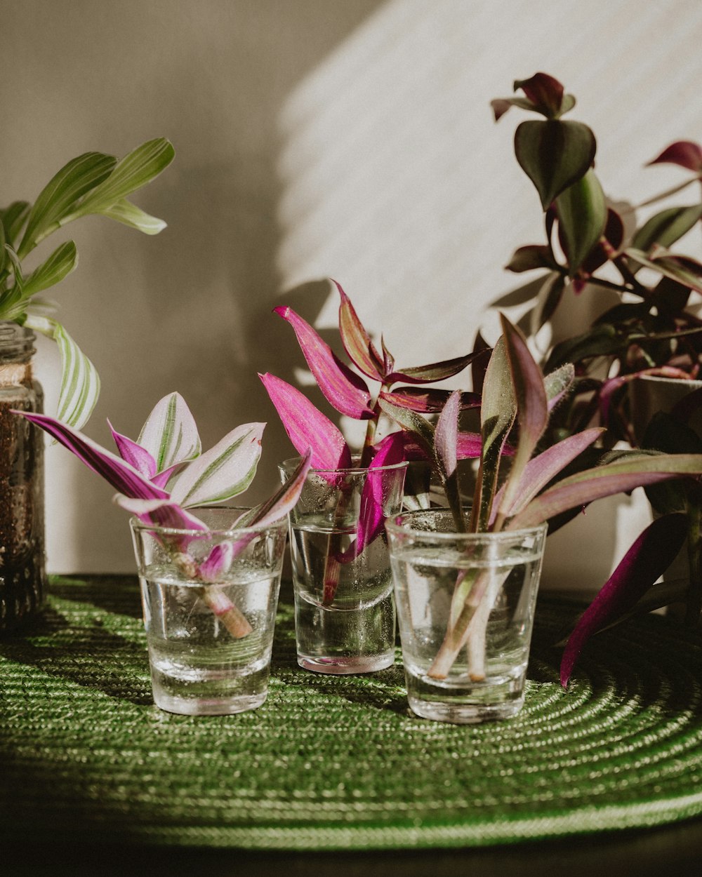 a group of glasses sitting on top of a table