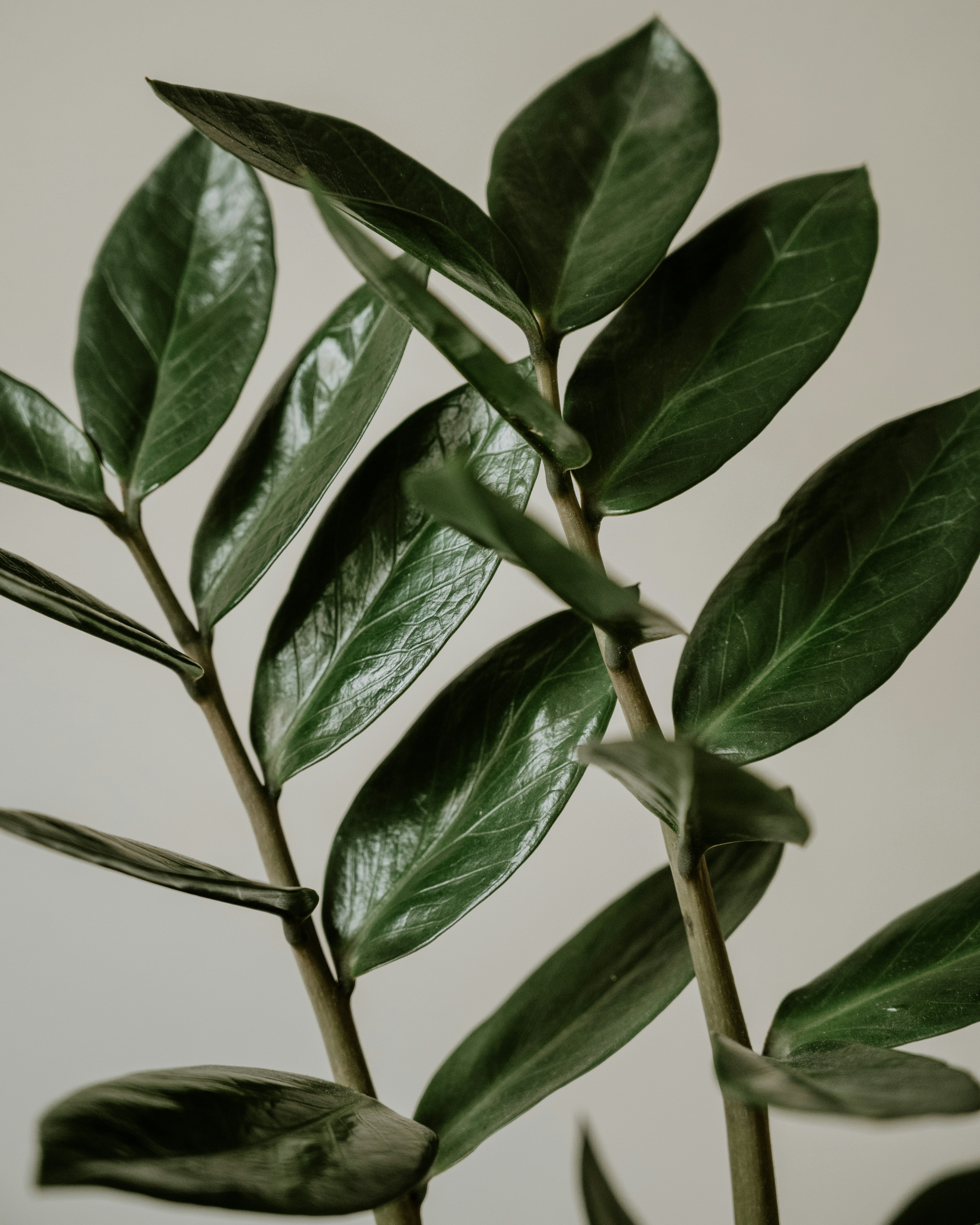 Photo by virginiaphotostories